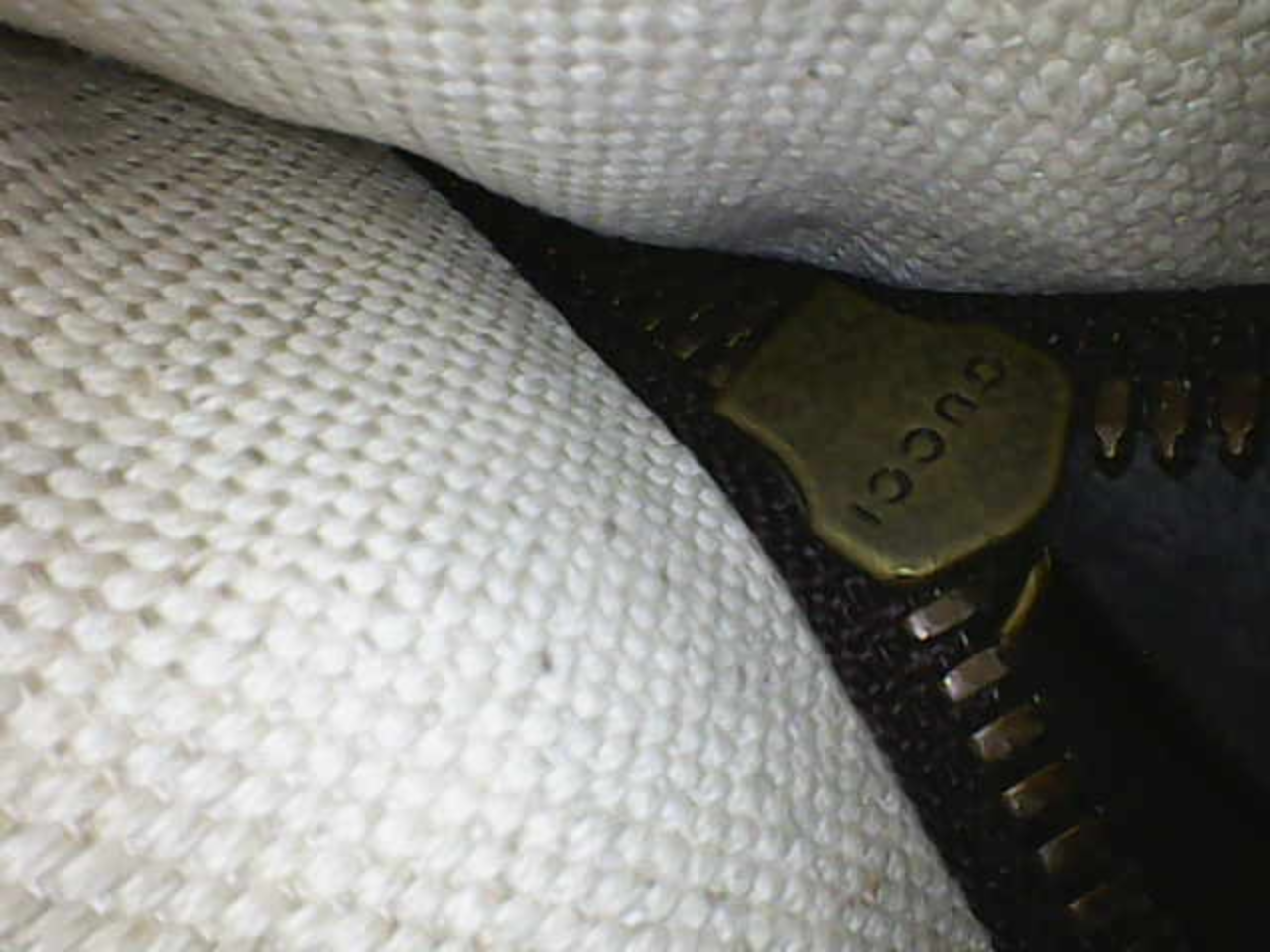 Image_2026-03-19 08_31_50_296.JPG