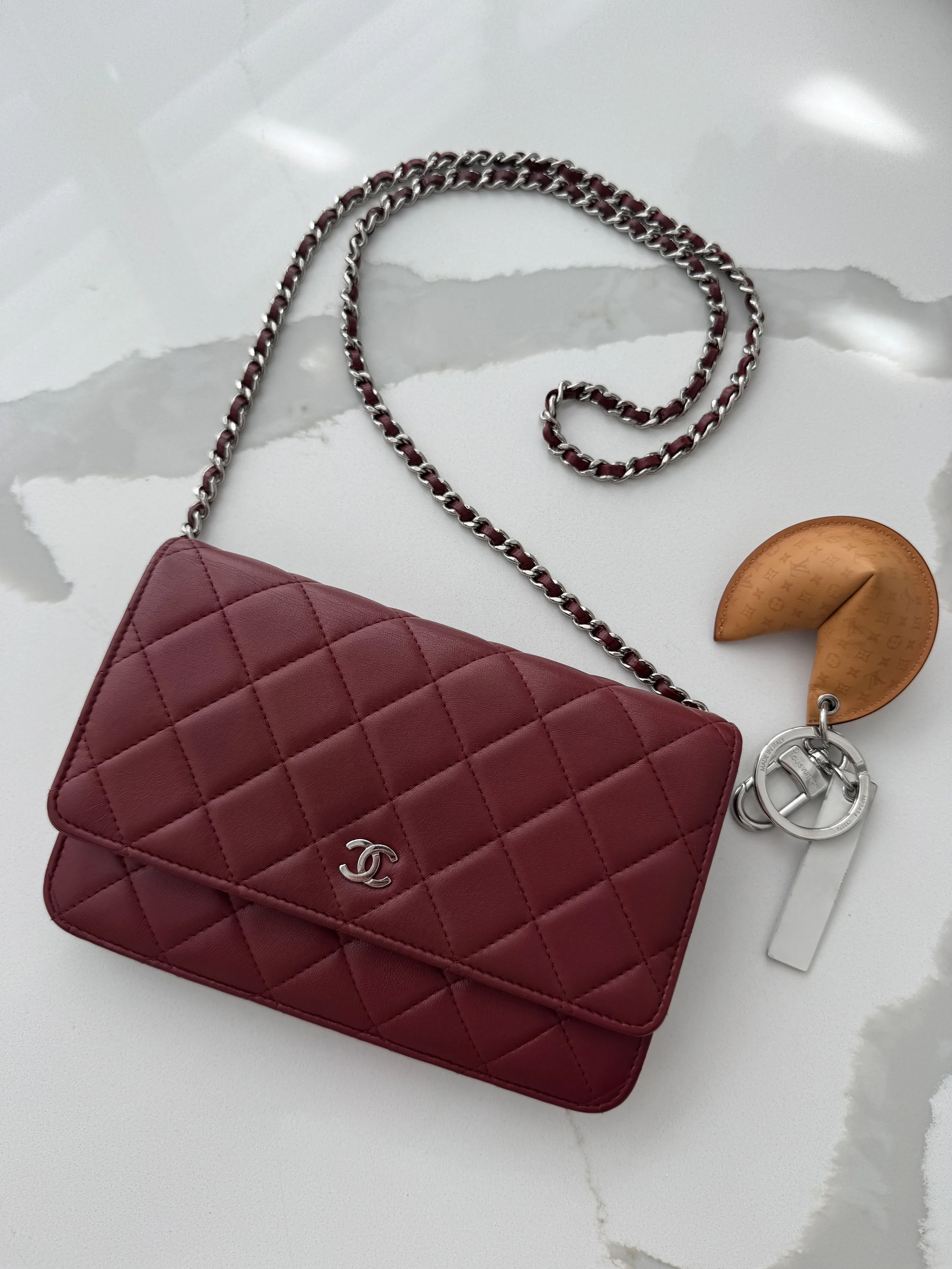 Chanel Wallet on Chain 22 series