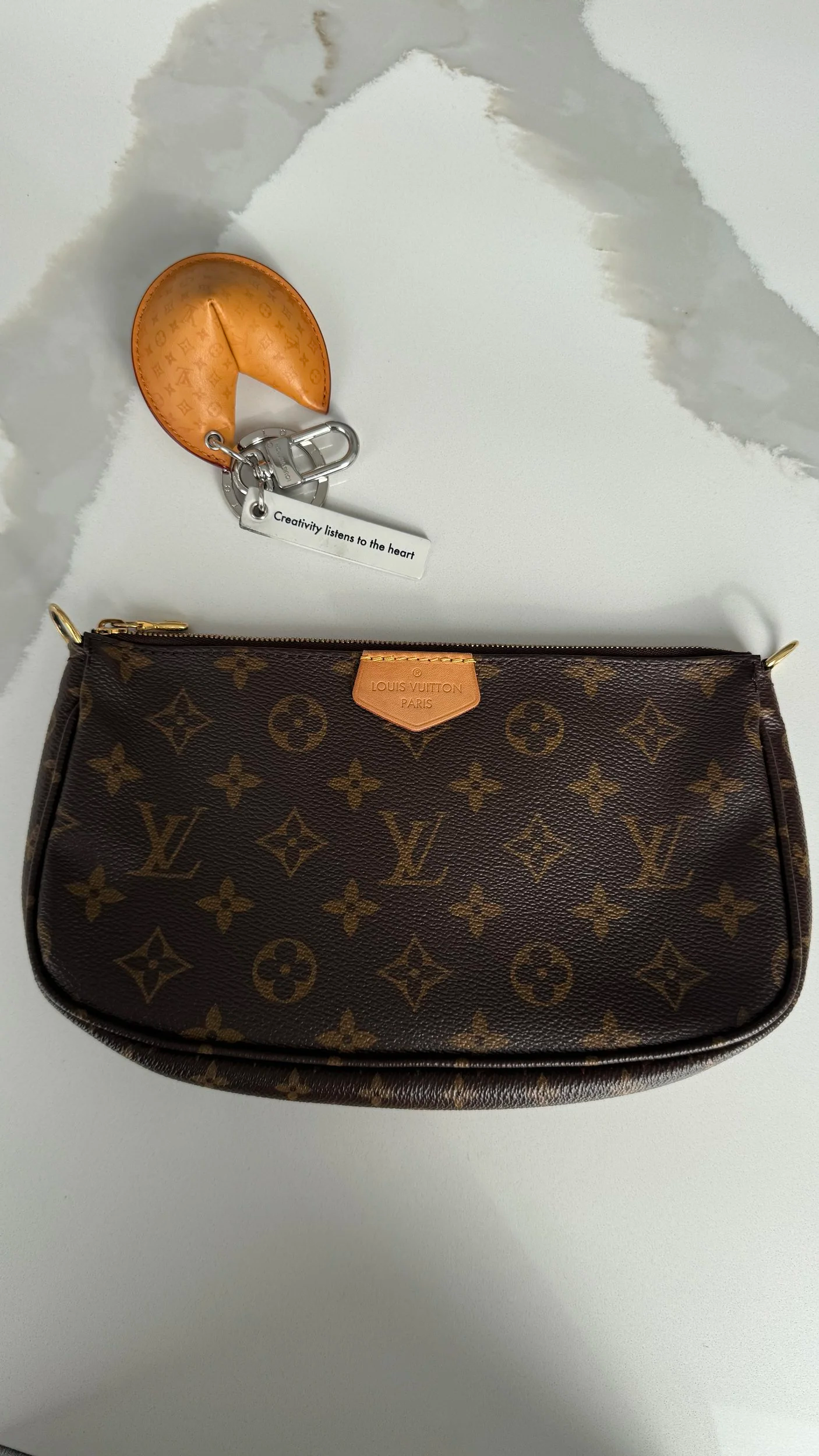 Louis Vuitton Multi Pochette Accessoires (Large Pochette)