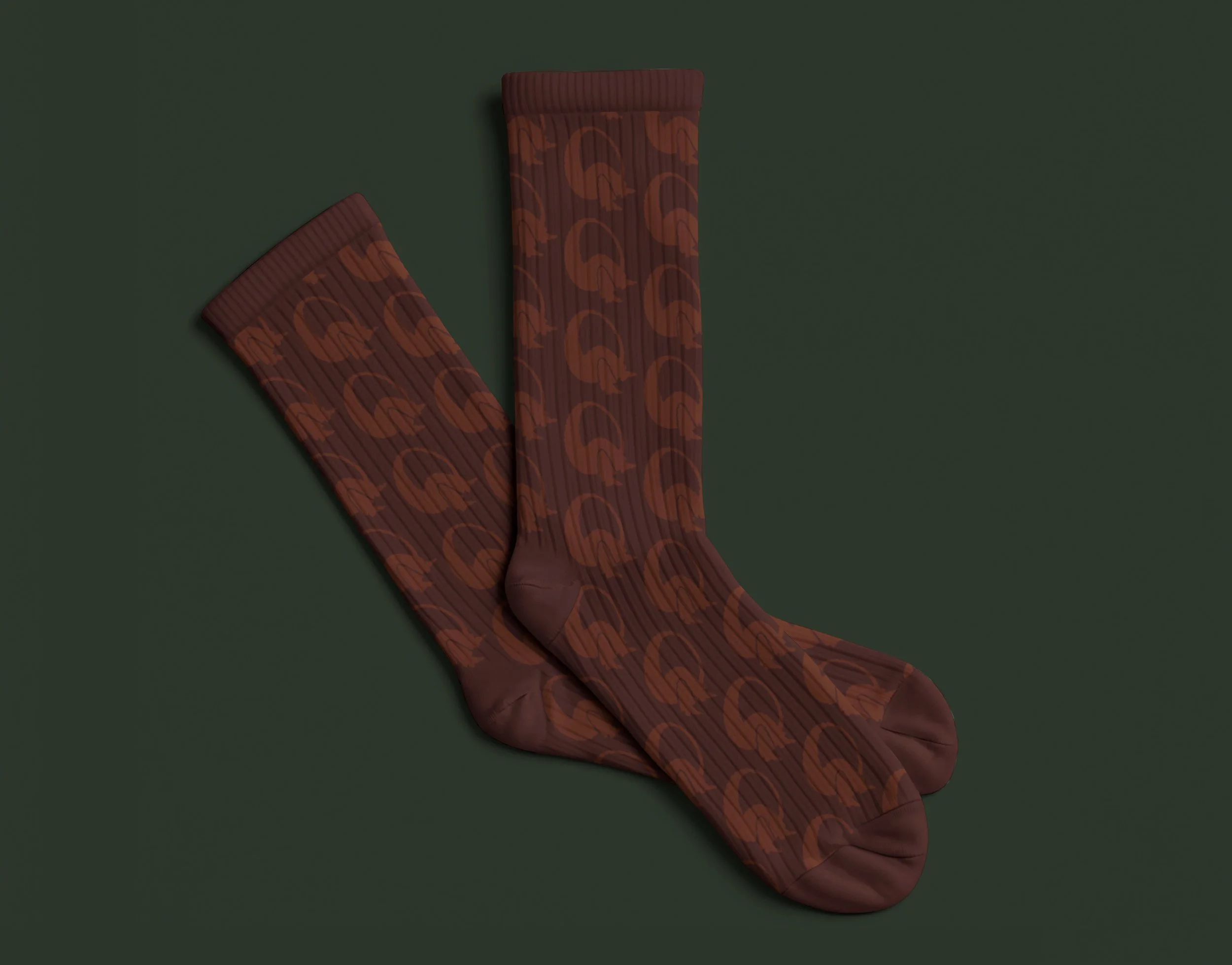 Socks.jpg