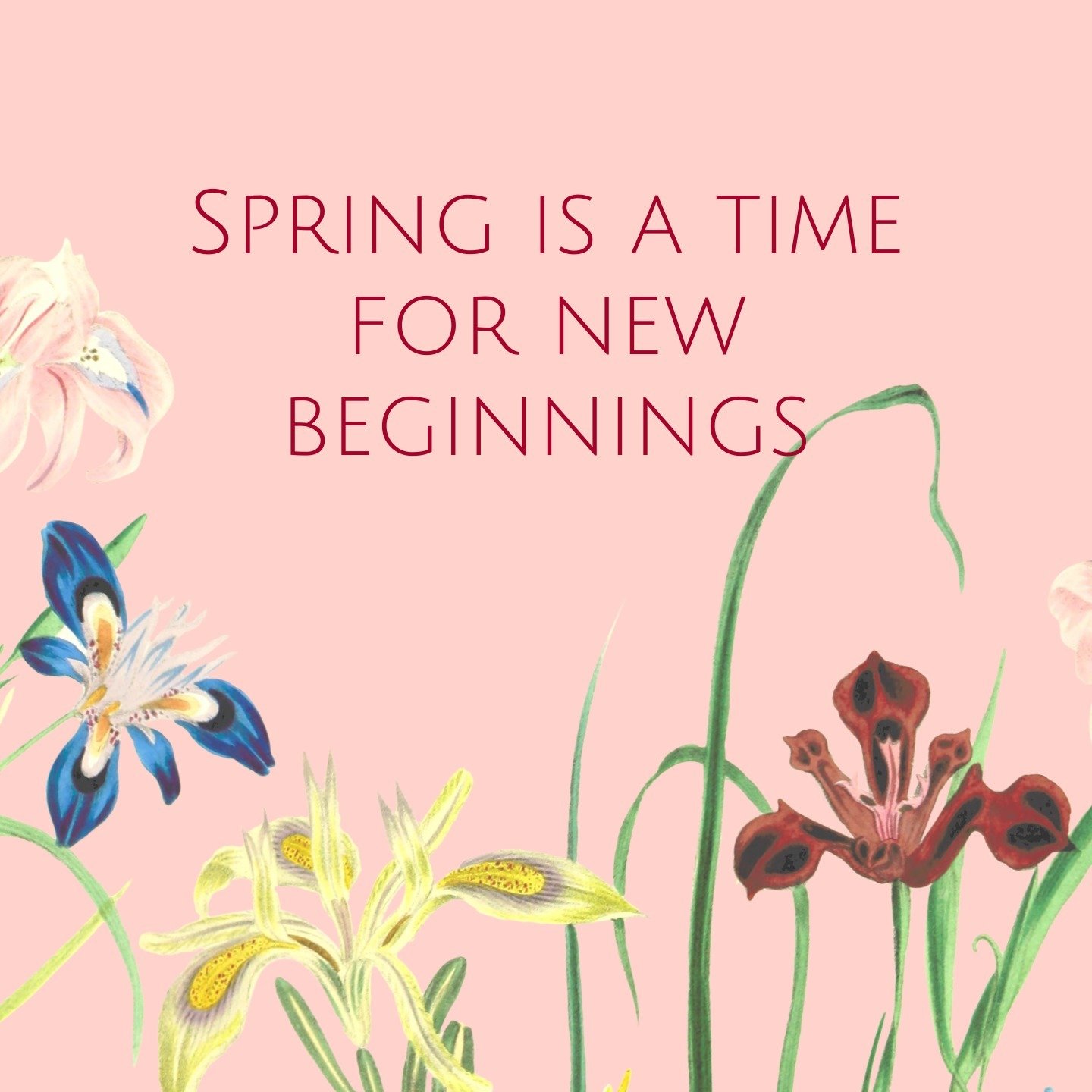 I love spring! I love watching the trees' leaves unfurl and the tulips sprout up with colour! The cherry blossoms smell amazing and the birds are chirping. It's a full sensory experience. It's also a great time for bringing in new energy.

This made 