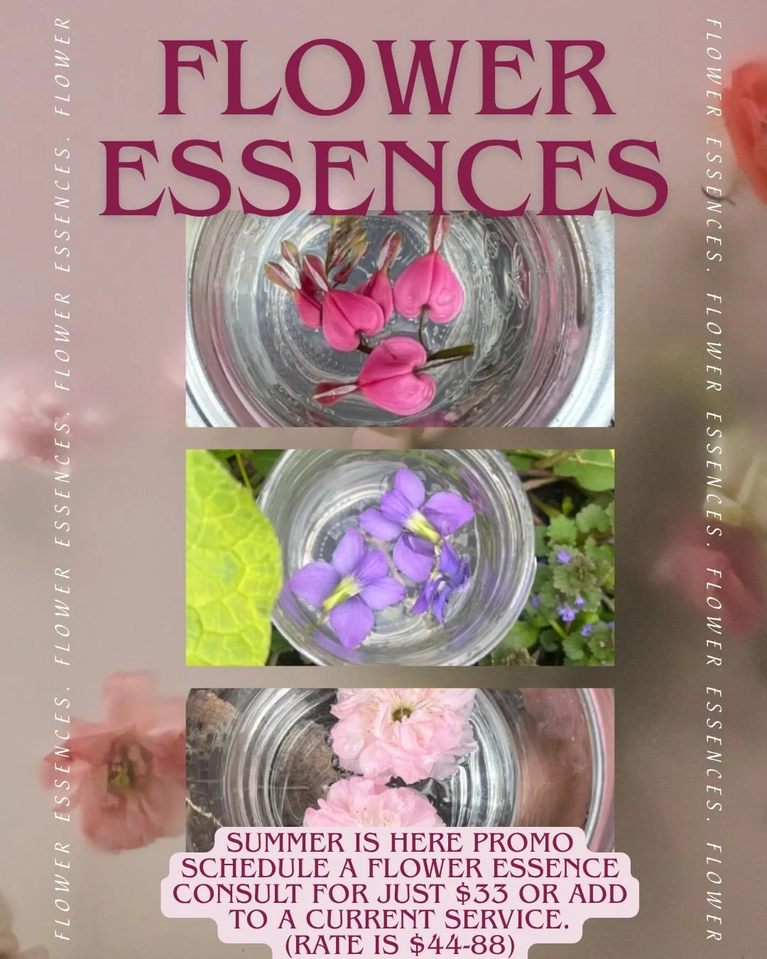 ☀️ SUMMER IS HERE PROMO ☀️ 

🌸 Schedule a Flower Essence Consult for just $33 or add to any current service. Consults will be $44-88 sliding scale after this promo.🌸

🌸 You will receive a Flower Essence to support you energetically made by me. You