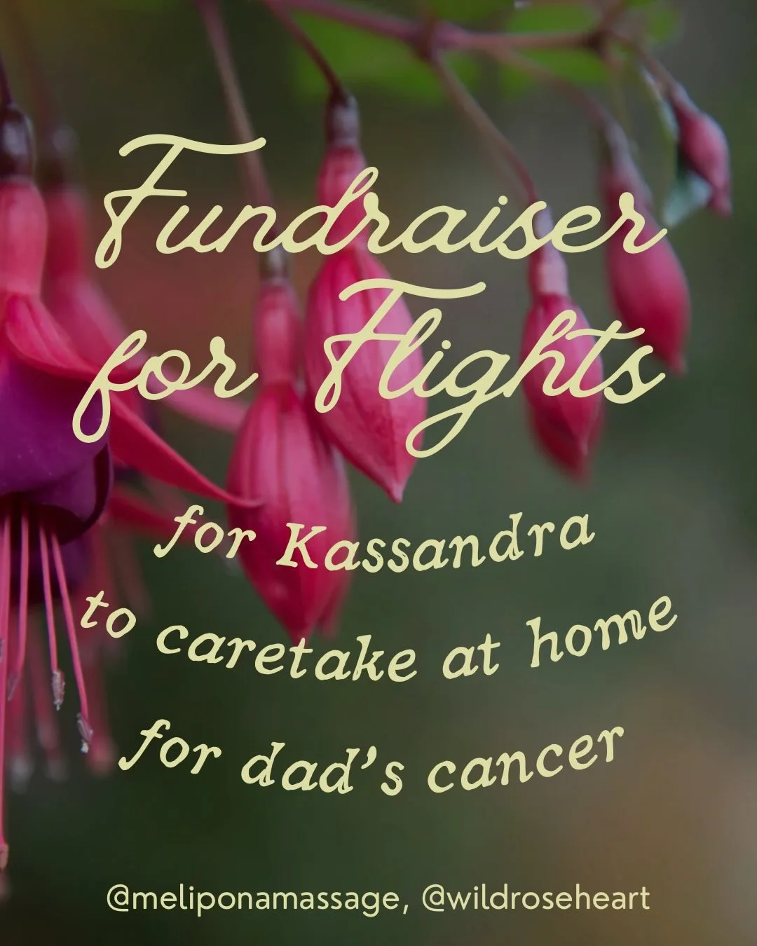&hearts;️ FUNDRAISER FOR FLIGHTS FOR KASSANDRA TO CARETAKE&nbsp;FOR DAD&rsquo;S CANCER &hearts;️

VENMO @WILDROSEHEART WITH A &ldquo;🕯️&rsquo; CANDLE EMOJI TO DONATE! DM/EMAIL/TEXT TO PURCHASE ITEMS &amp; SCHEDULE AT LINK IN BIO FOR SERVICES!

I am 