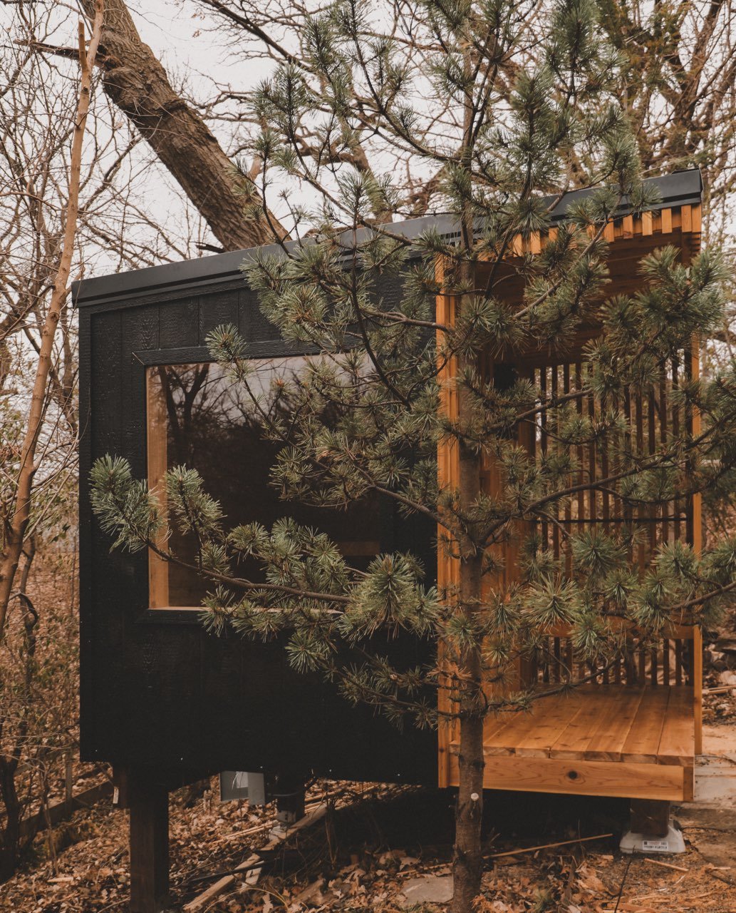 Small modern wooden cabin with screened porch, surrounded by trees in a natural outdoor setting.
