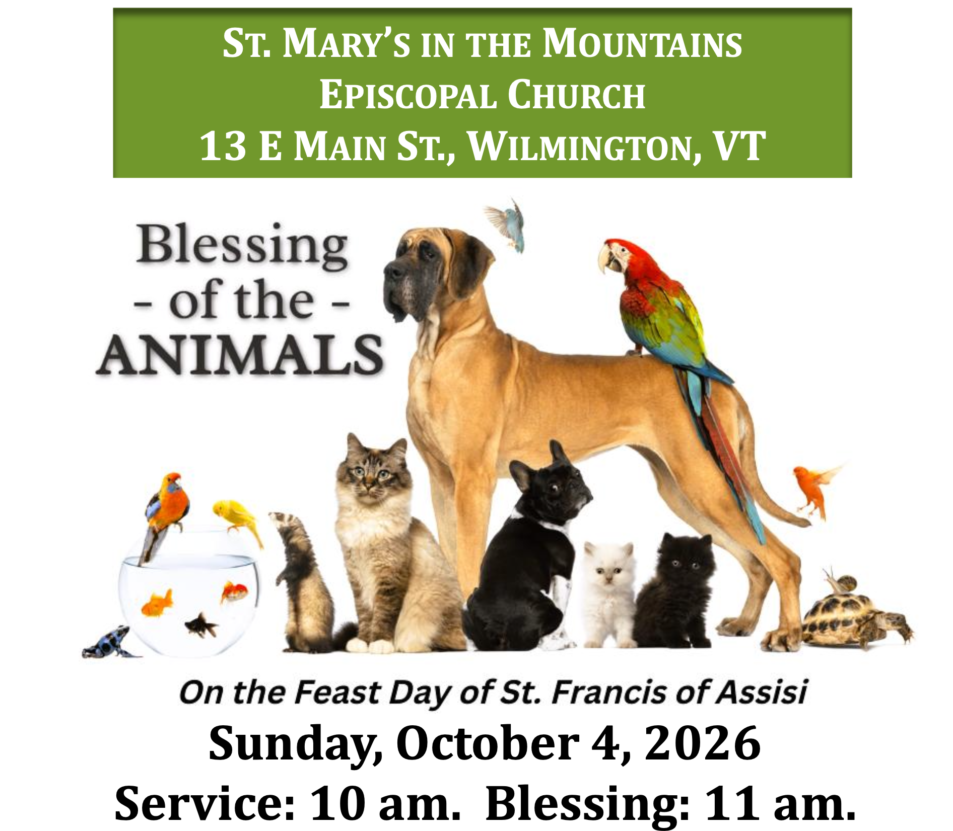 Blessing of the Animals