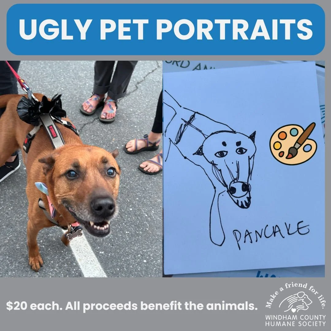 Ugly Pet Portraits: So Bad They’re Beautiful!