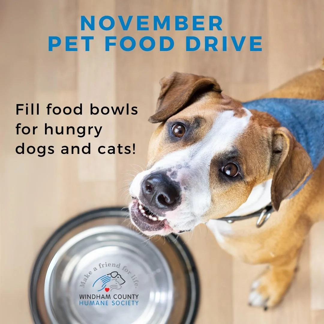 Upcoming Events — Windham County Humane Society