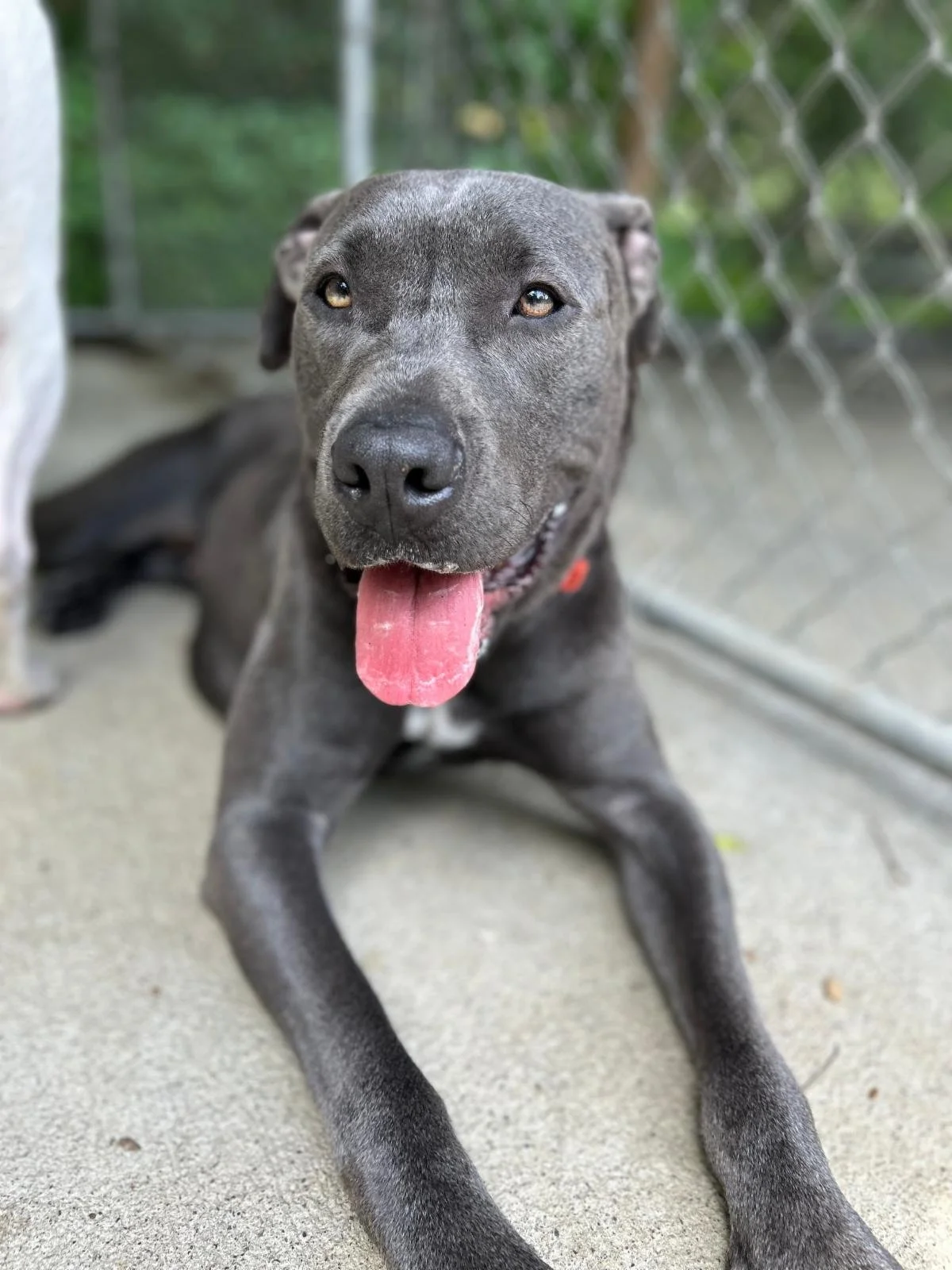 Here’s how your love changes lives