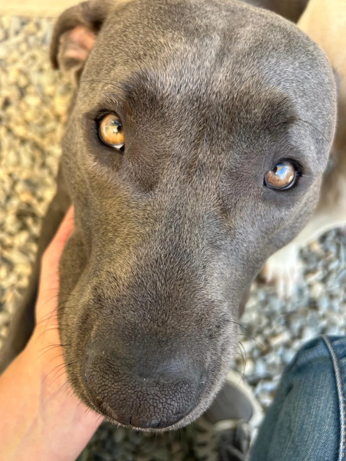 Help Us Reach Our $50,000 Holiday Match