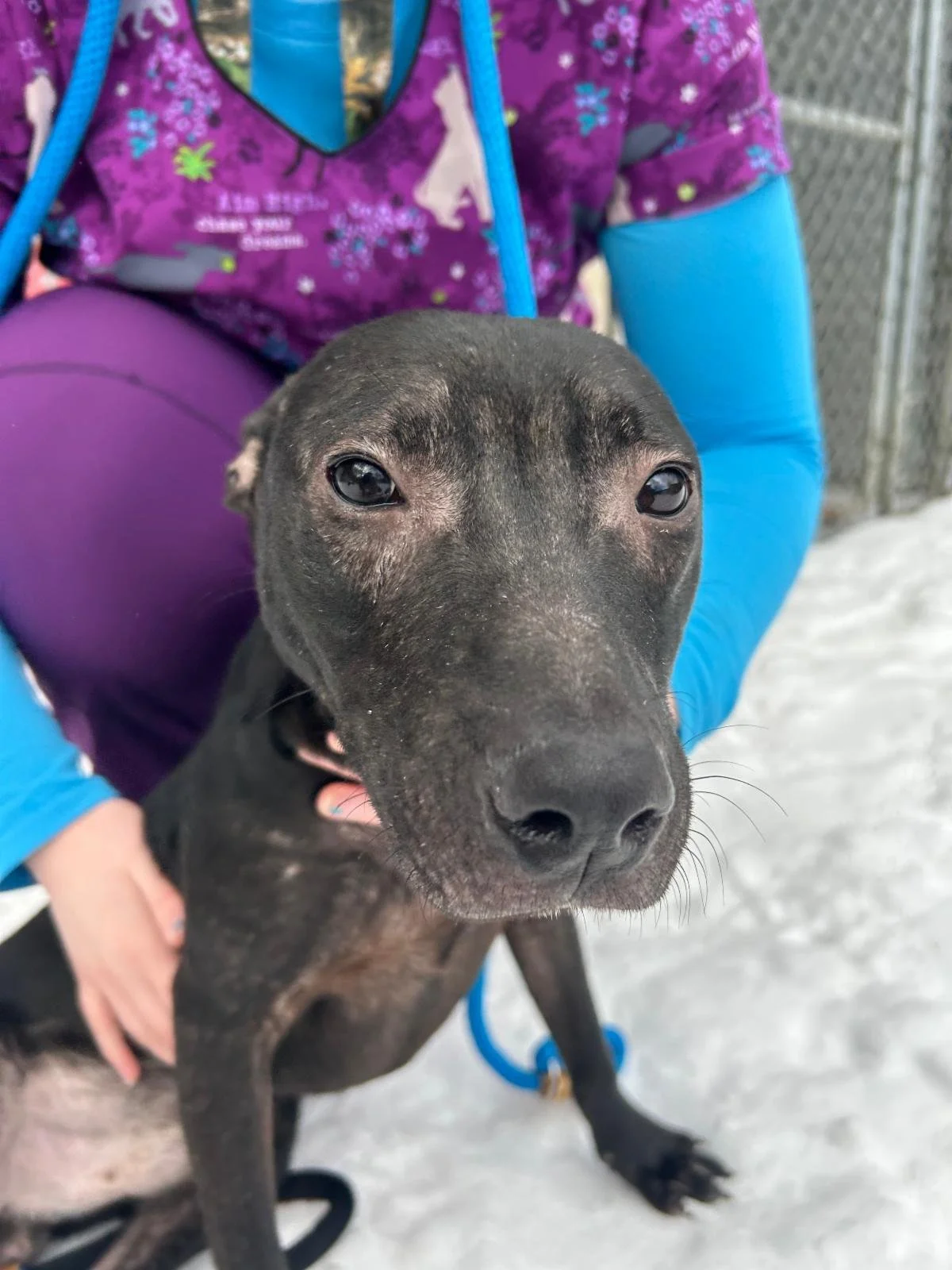 Unchained and ready for a lifetime of love