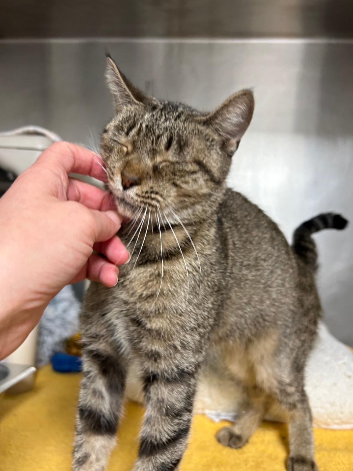 A happy ending for Lawanna