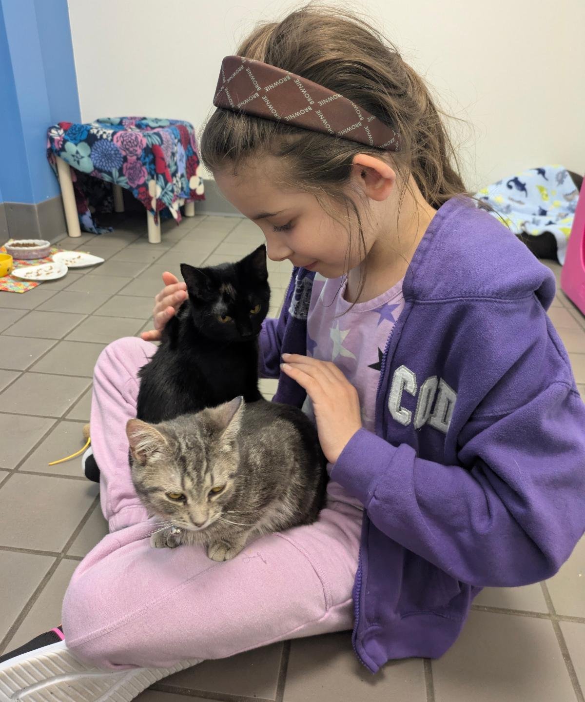 From snowbanks to snuggles: A forever family for Sprout and Bud