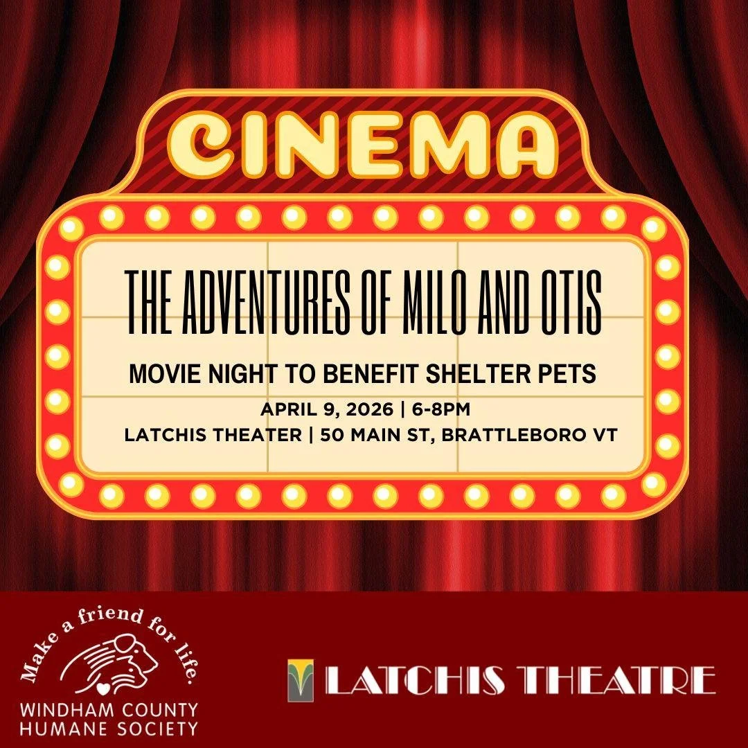 A chance to win big, a family movie night, and our most glamorous Wags to Riches yet!