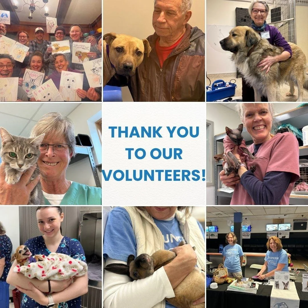 THANK YOU to Our Amazing Volunteers!