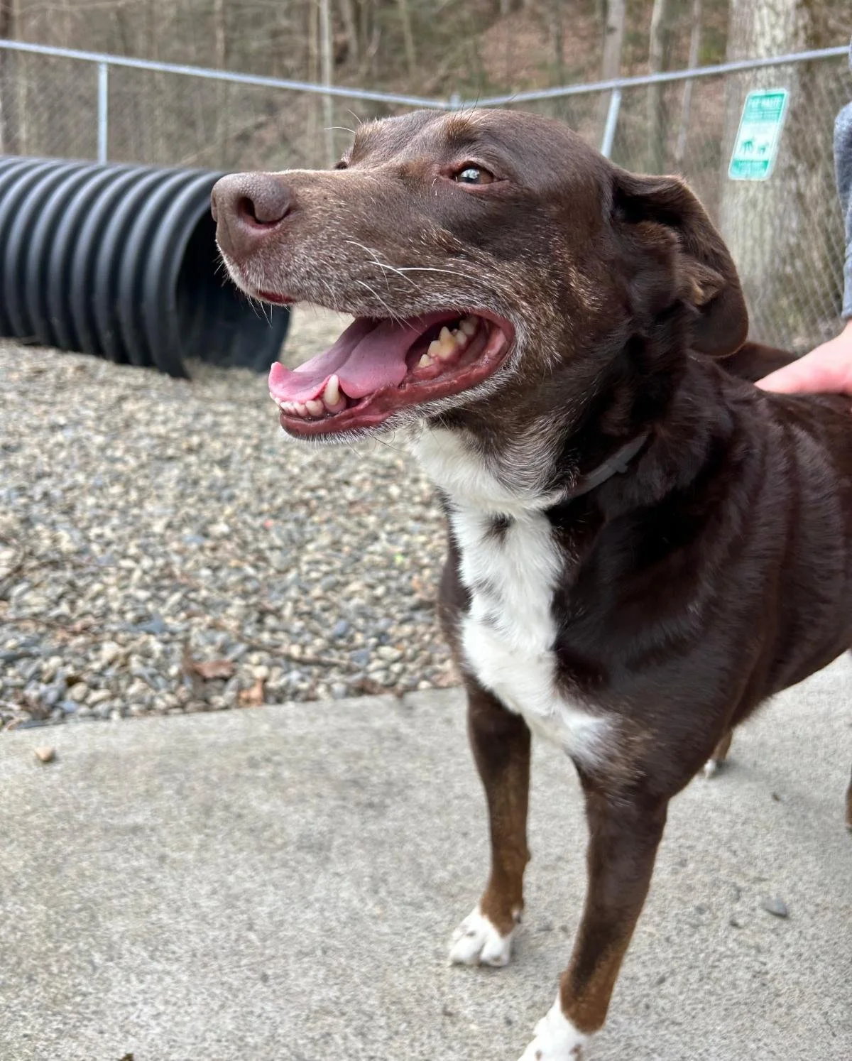 Ziggy says "50/50 is $22,800 and counting!"
