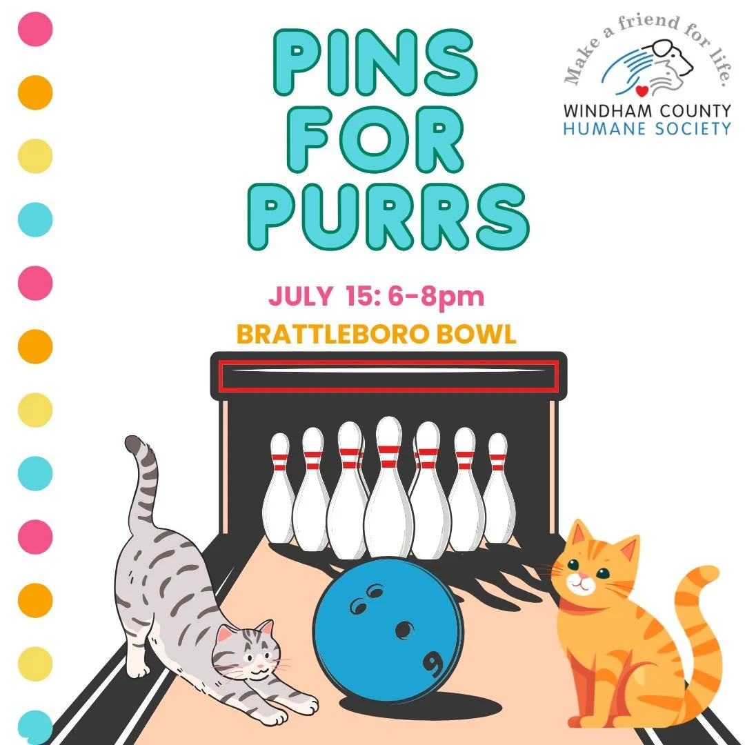 Pins for Purrs 2026
