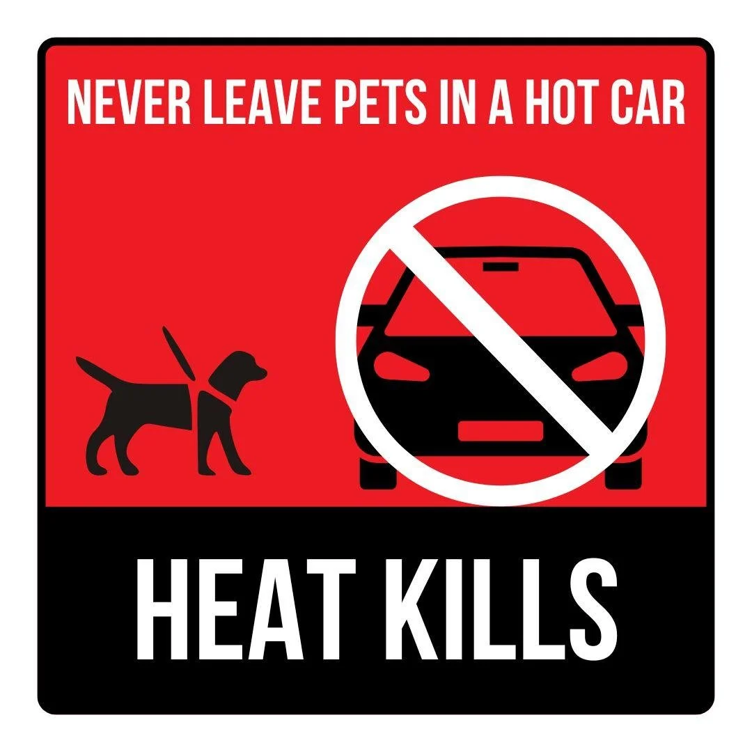 Keep your pets safe in the heat!