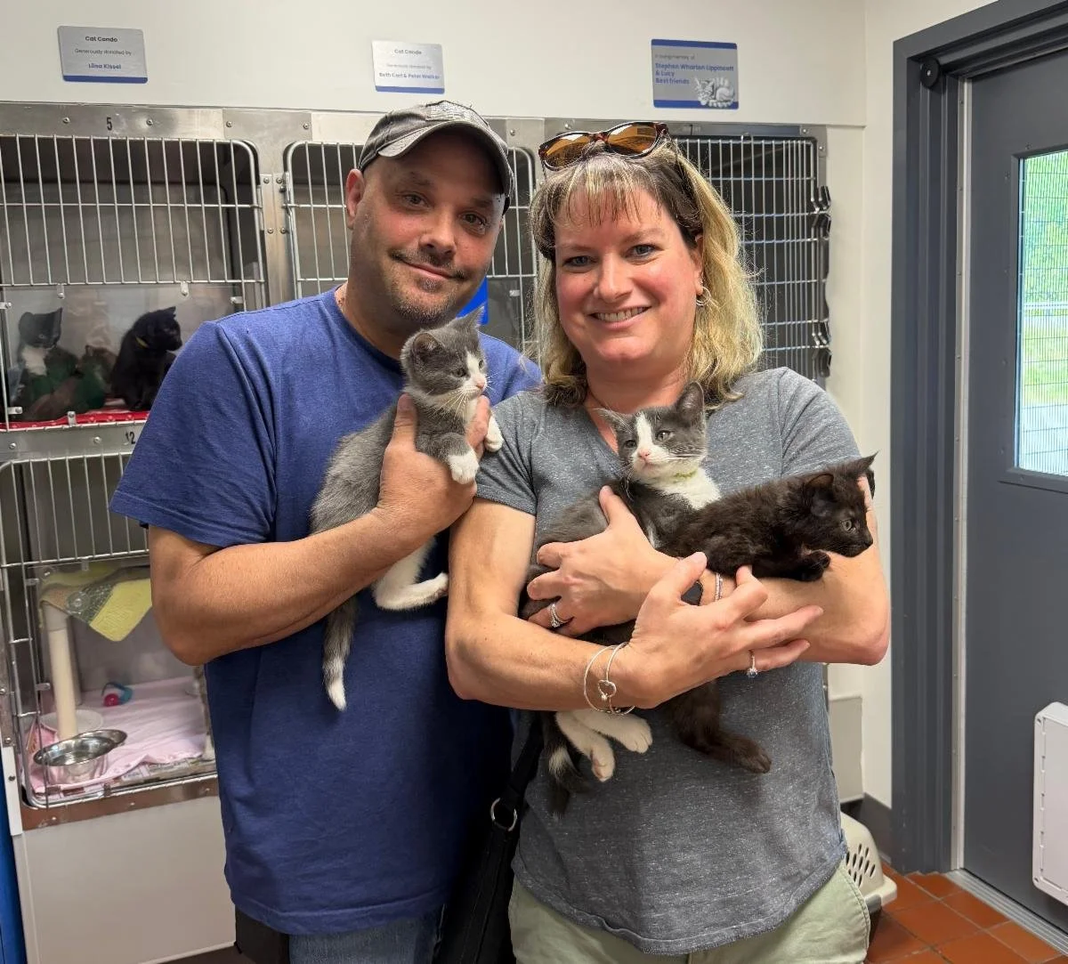 The kittens are coming!
