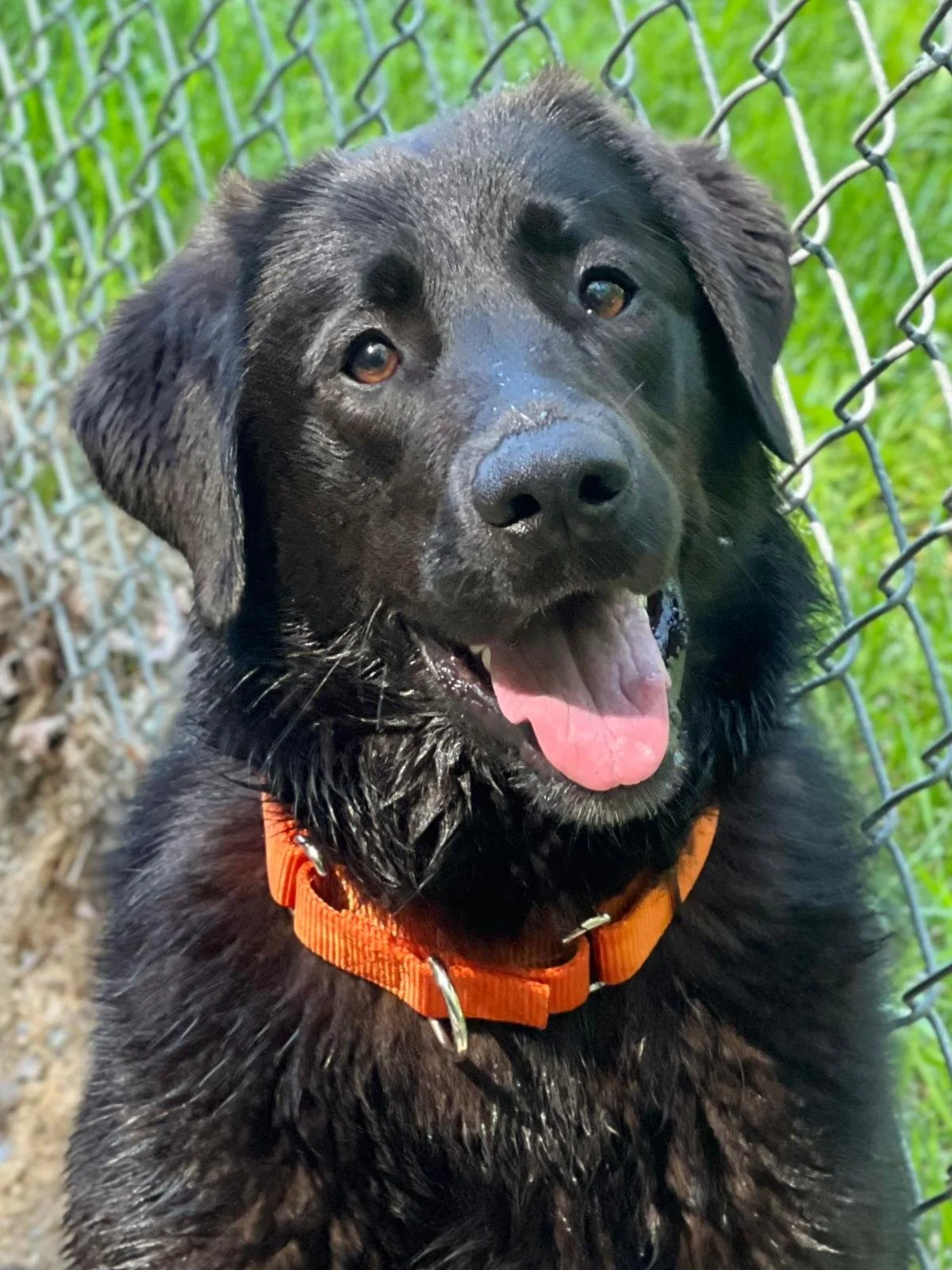 Ruby says "50/50 is almost at $40,000!"