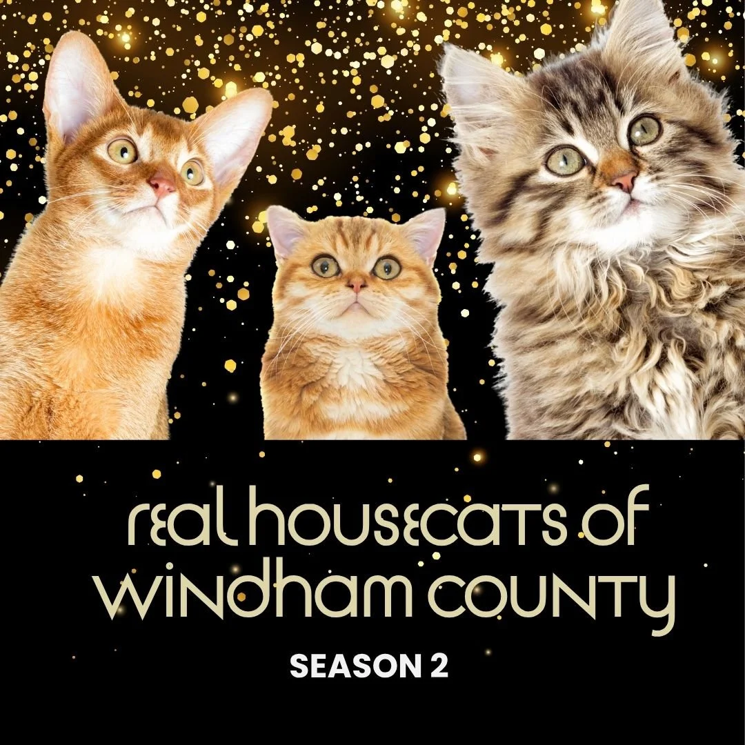Real Housecats of Windham County