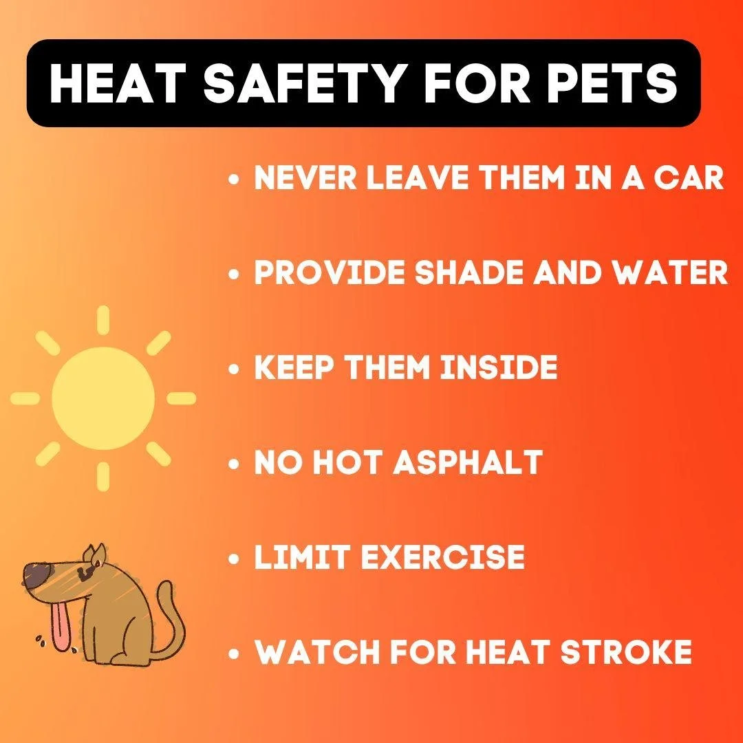 Heat wave! Keep your pets cool and safe.