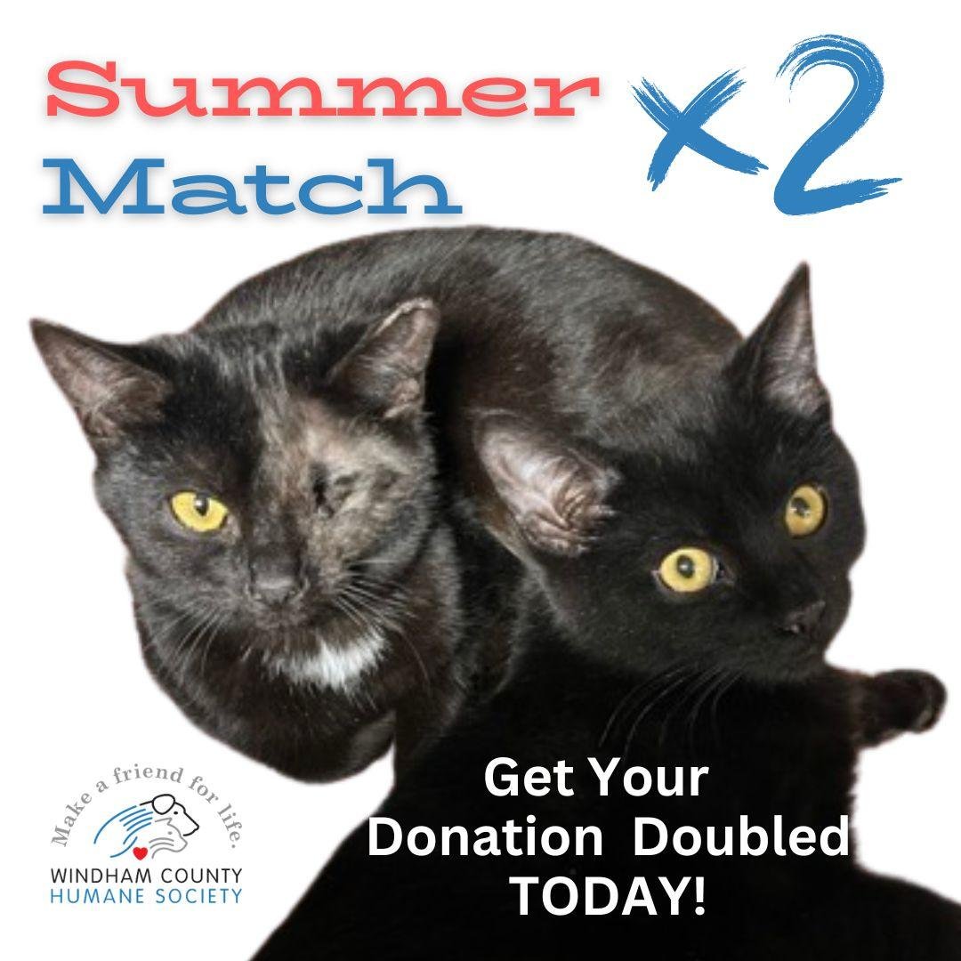 Your matched gift will help double the animals this summer.