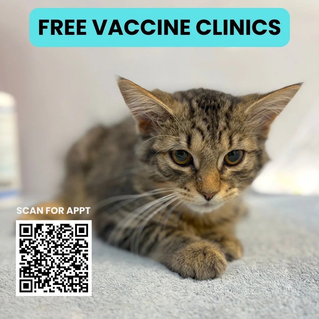 Free Vaccine Clinics in August 2026