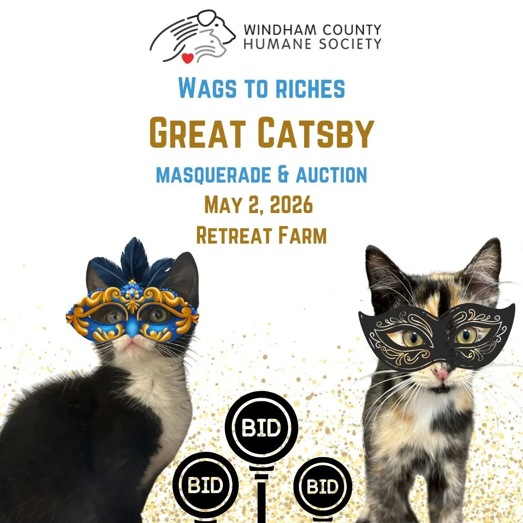 Wags to Riches 2026: Great Catsby Masquerade and Auction