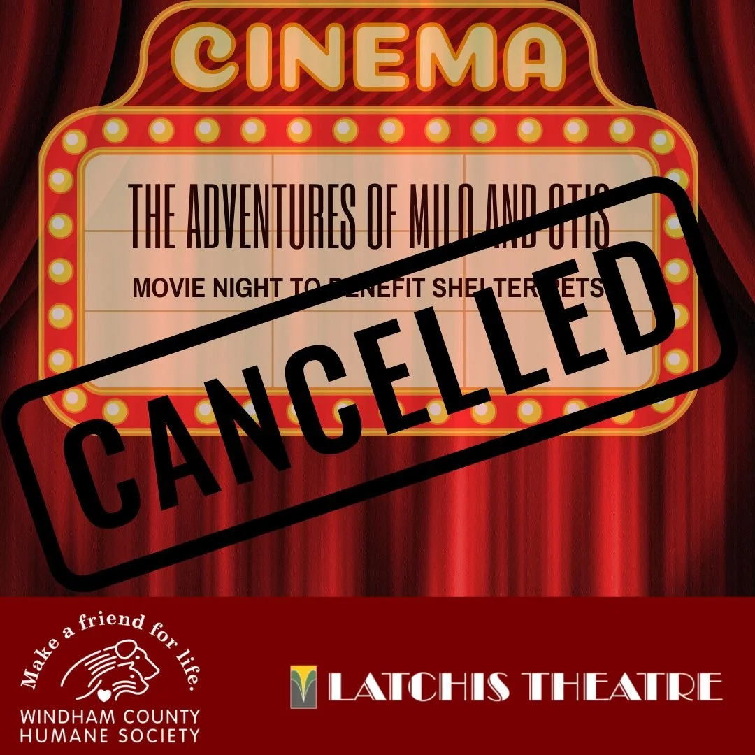 Movie Night at the Latchis: The Adventures of Milo and Otis