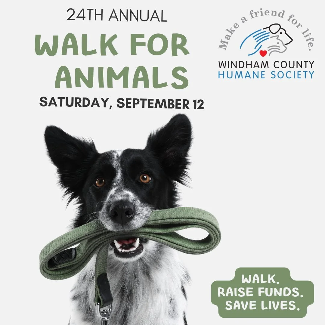 Walk for Animals 2026