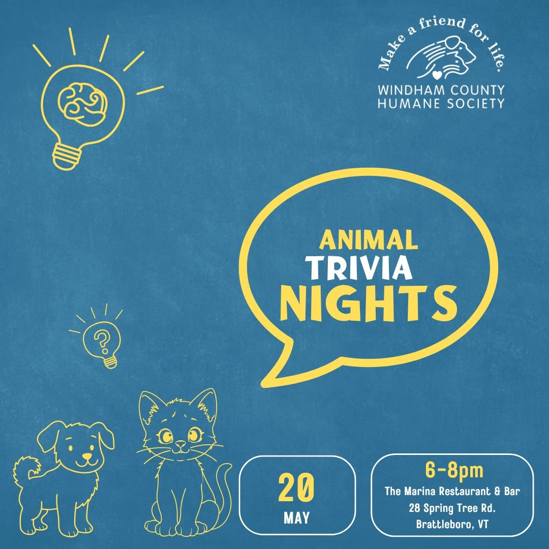 Trivia Nights at the Marina