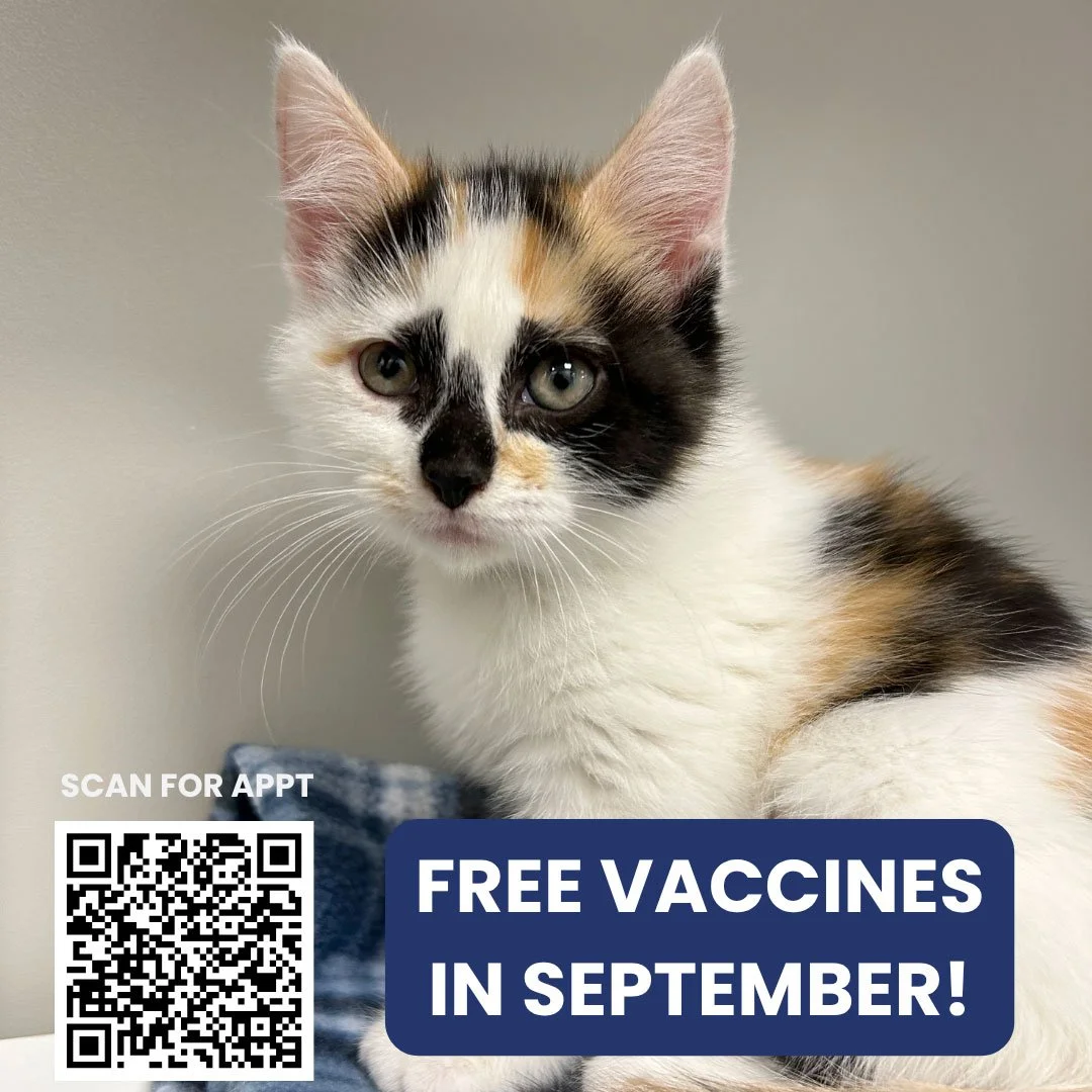 Free Vaccine Clinics in September