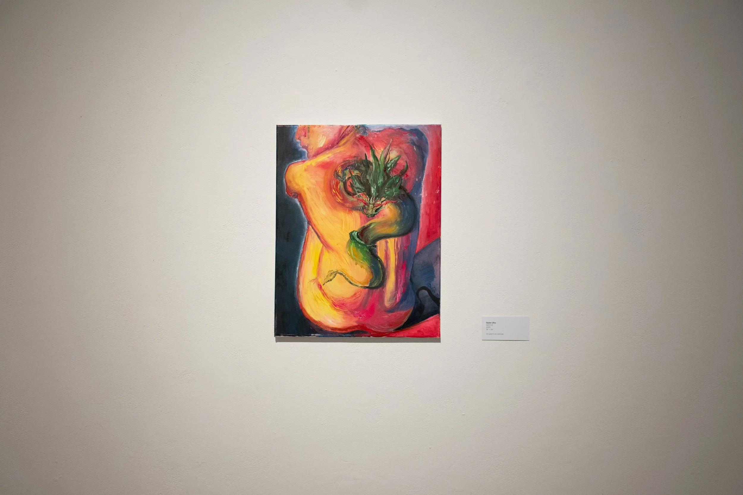 DSC_6355.jpg