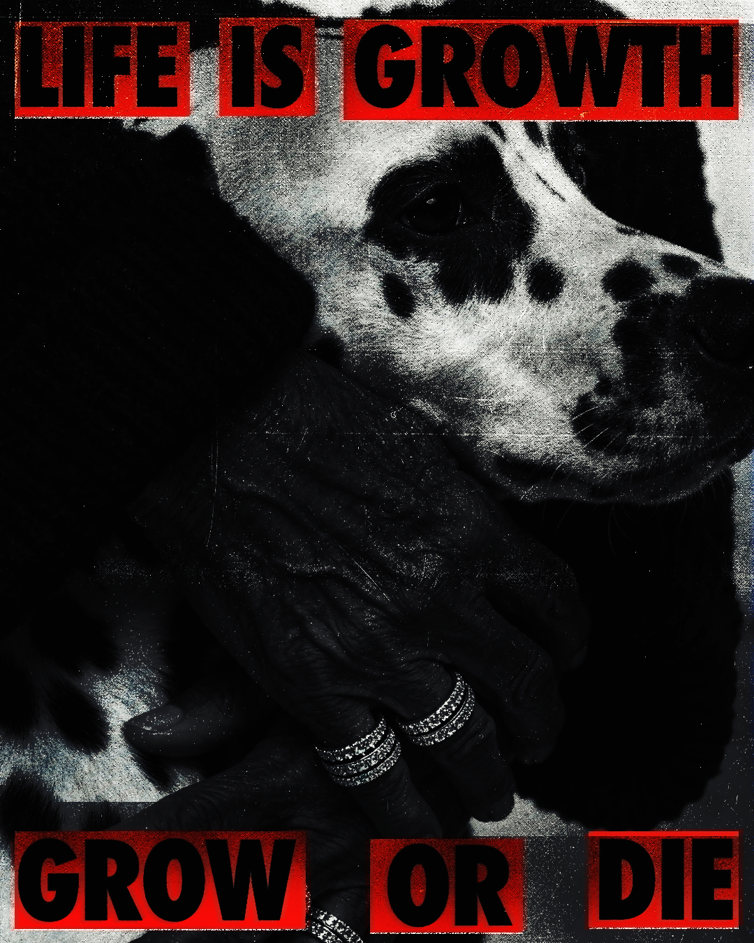 SHOE-DOG_3.png