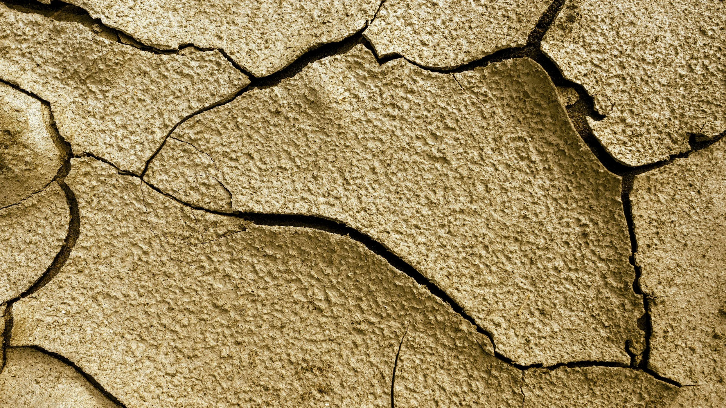 Is It Time to Replace Your Stucco? How to Inspect Your Home’s Exterior for Damage