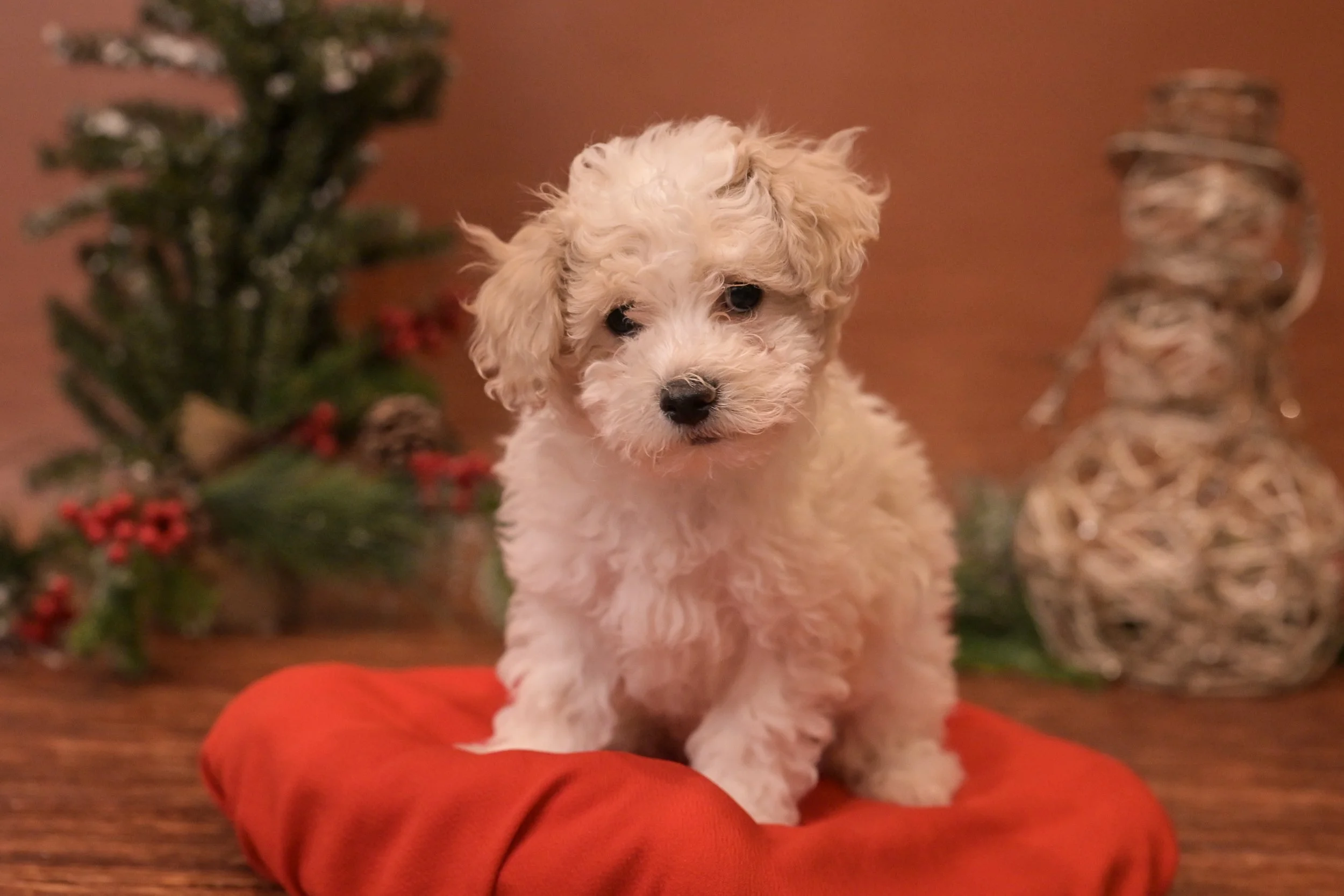 Skubal: Male: $2600