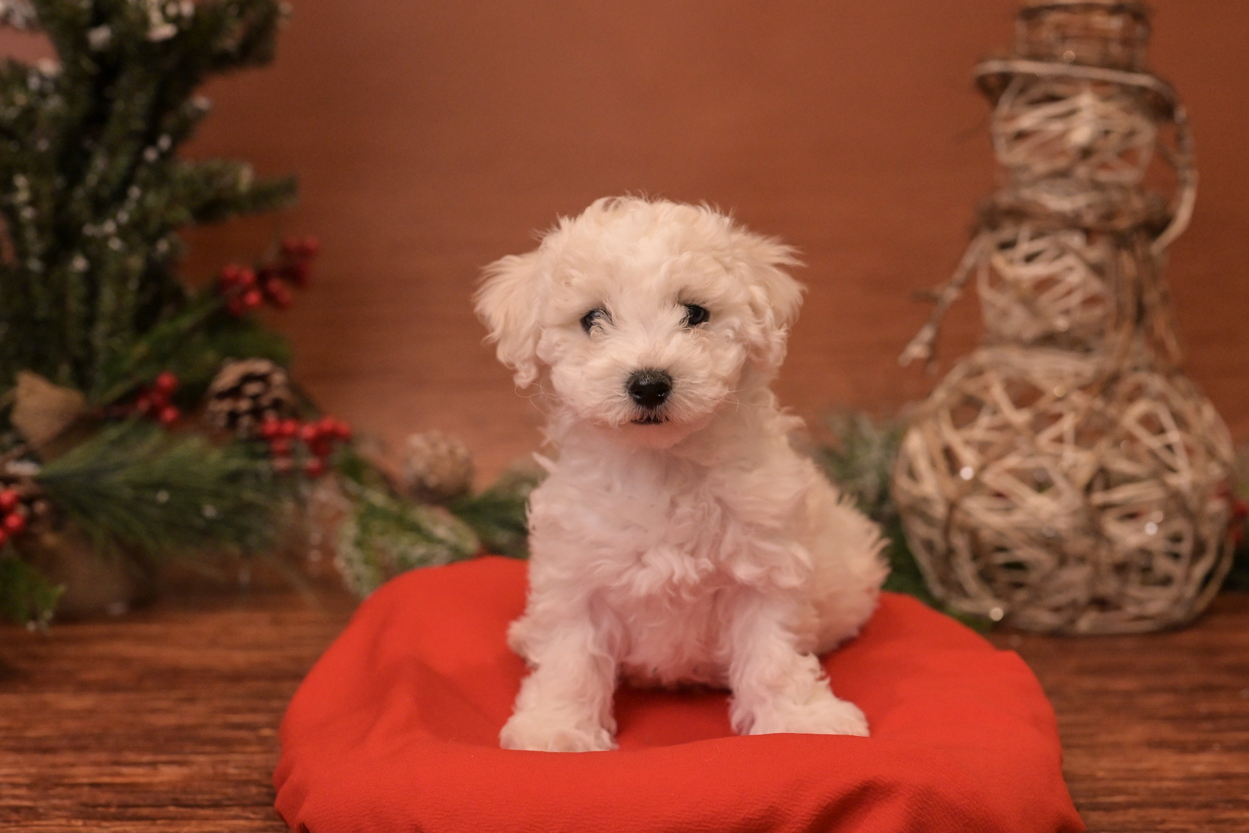 Muncy: Male: $2600