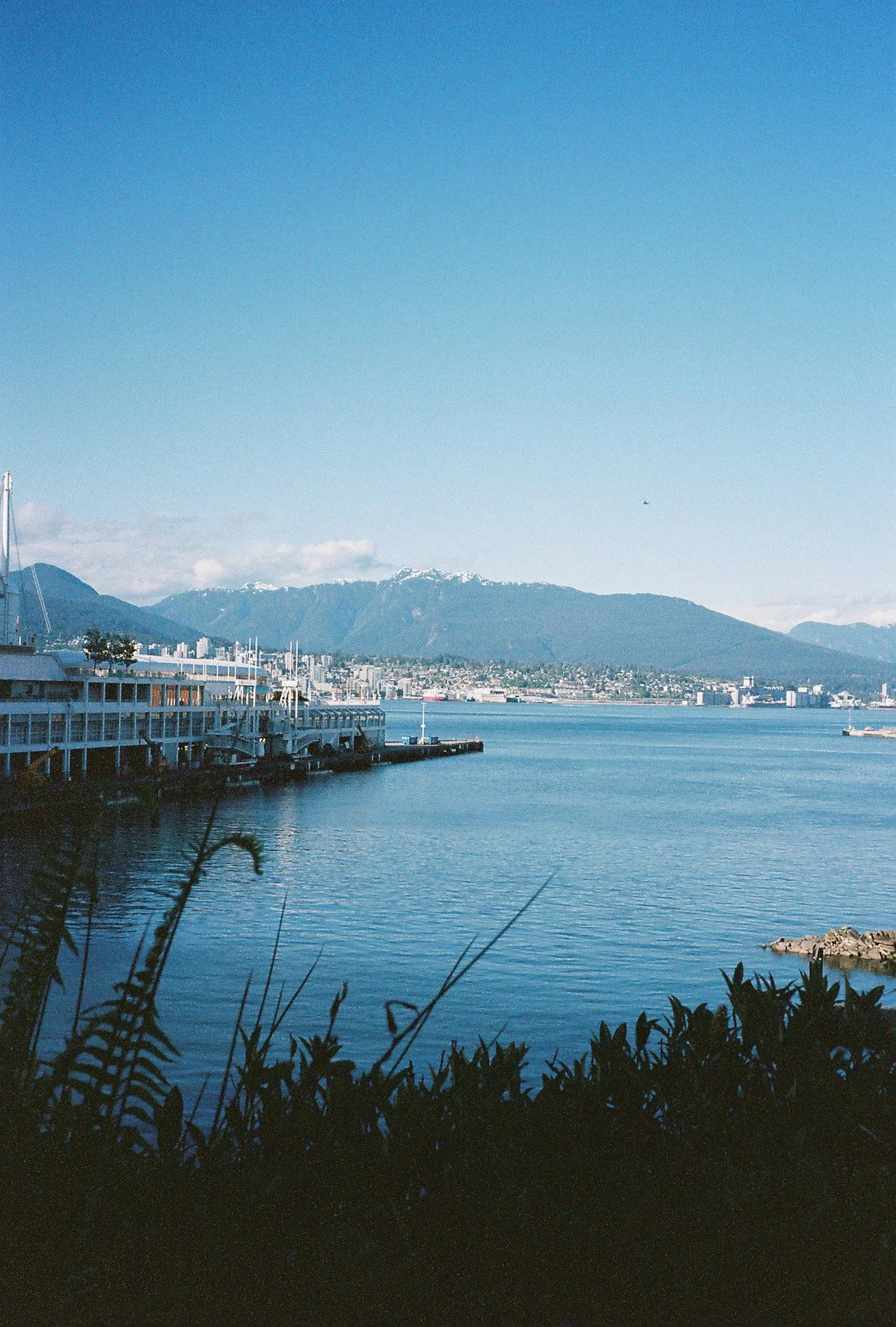 FILM_01-42.jpg