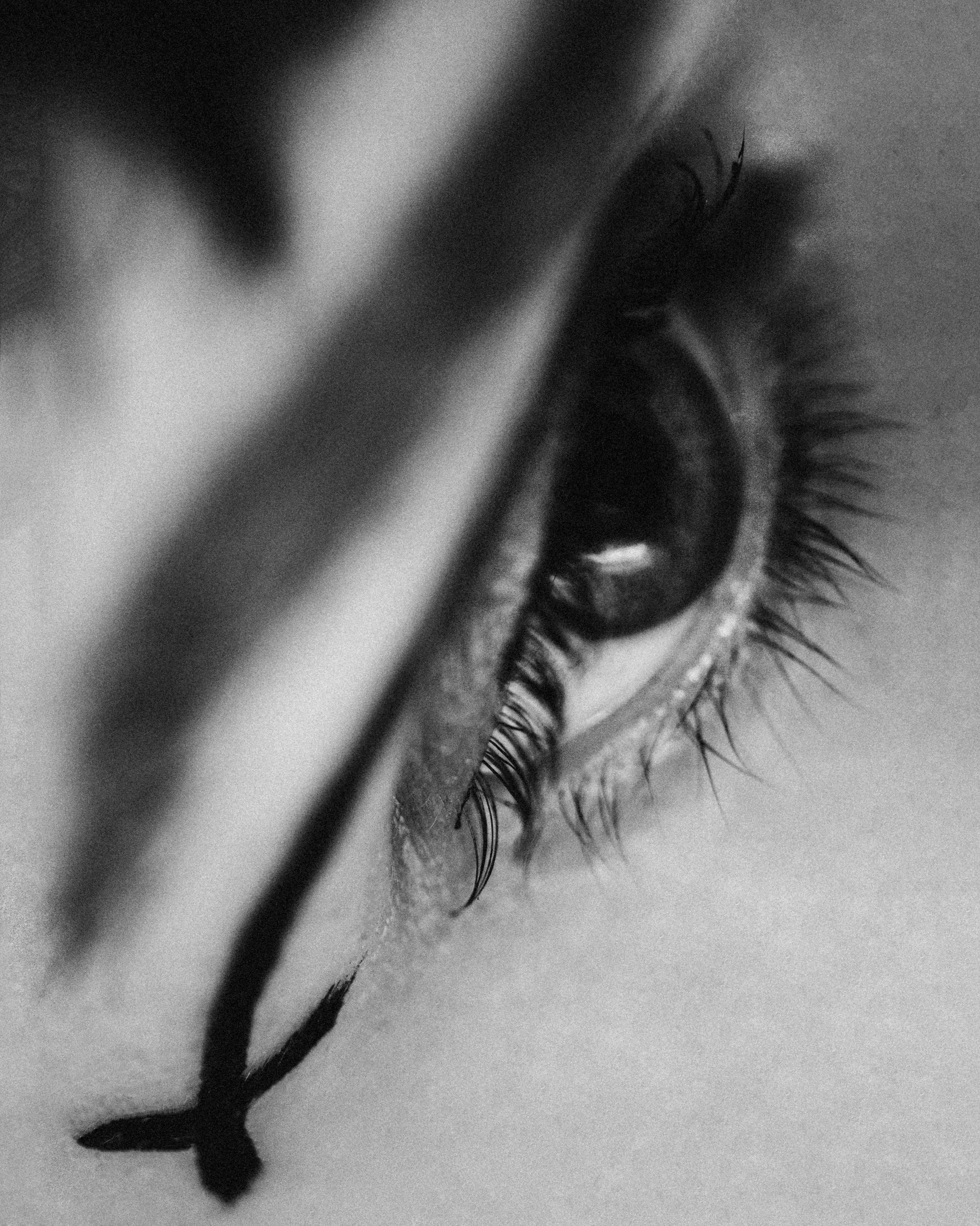 Cait Kelly, Photographer, NYC, Artist