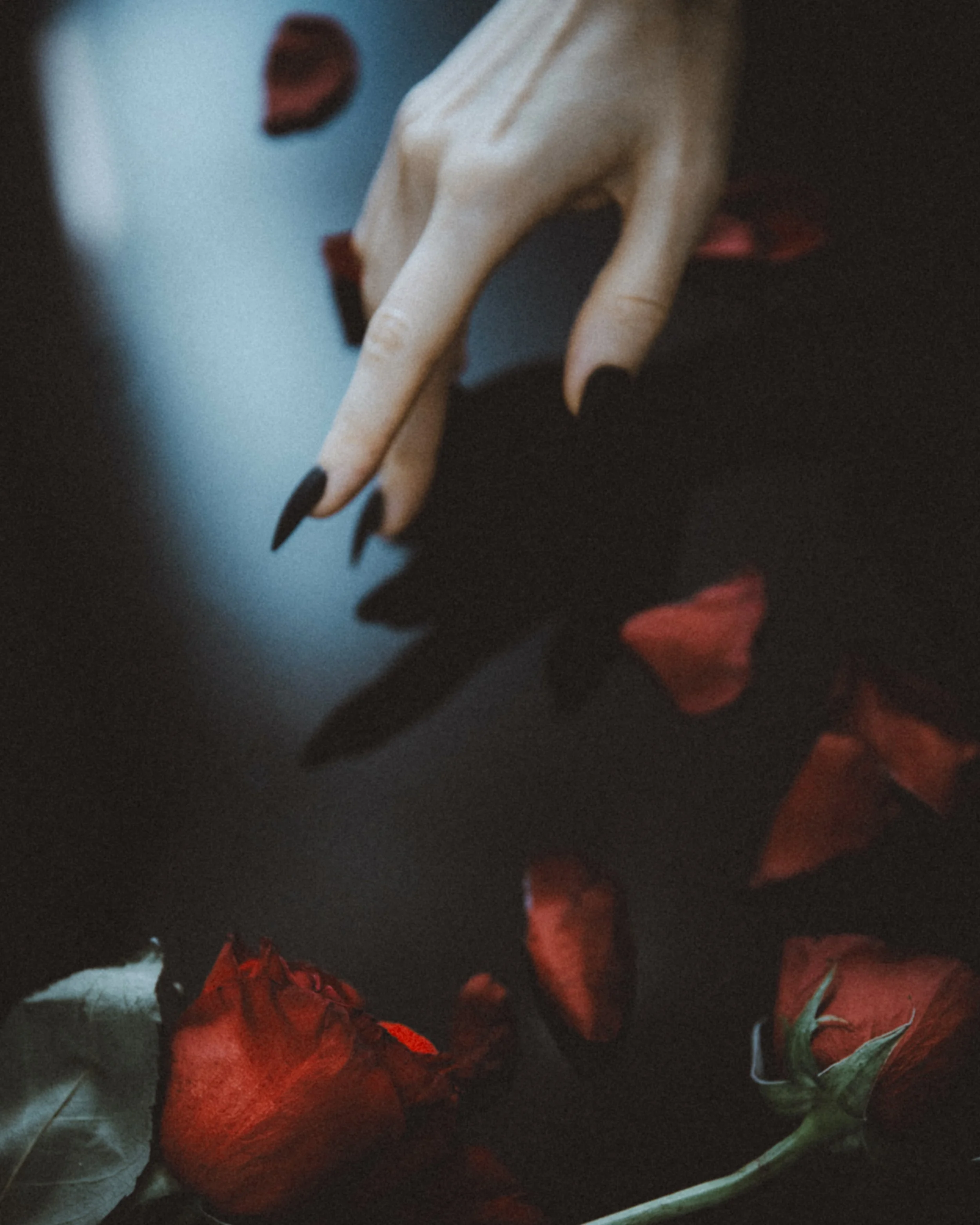 Cait Kelly, Photographer, NYC, Artist
