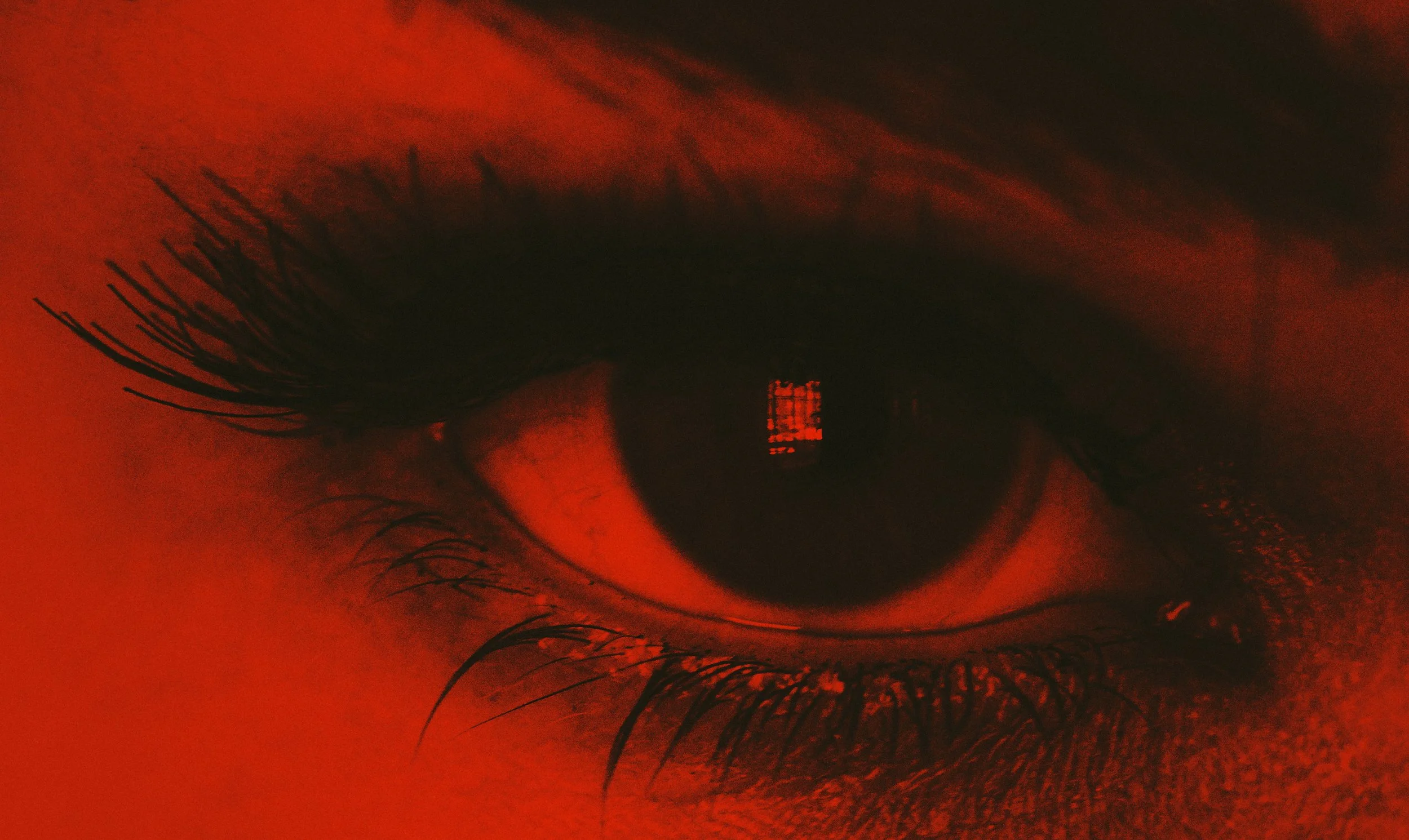 Cait Kelly, Photographer, NYC, Artist