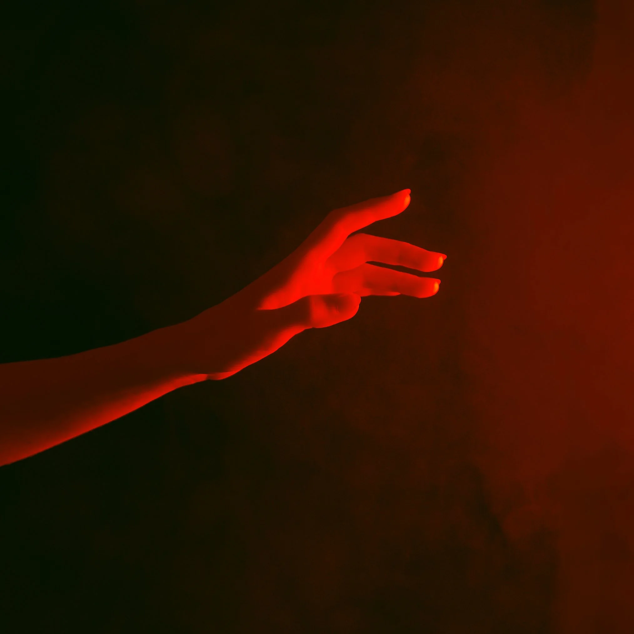 Cait Kelly, Photographer, NYC, Artist