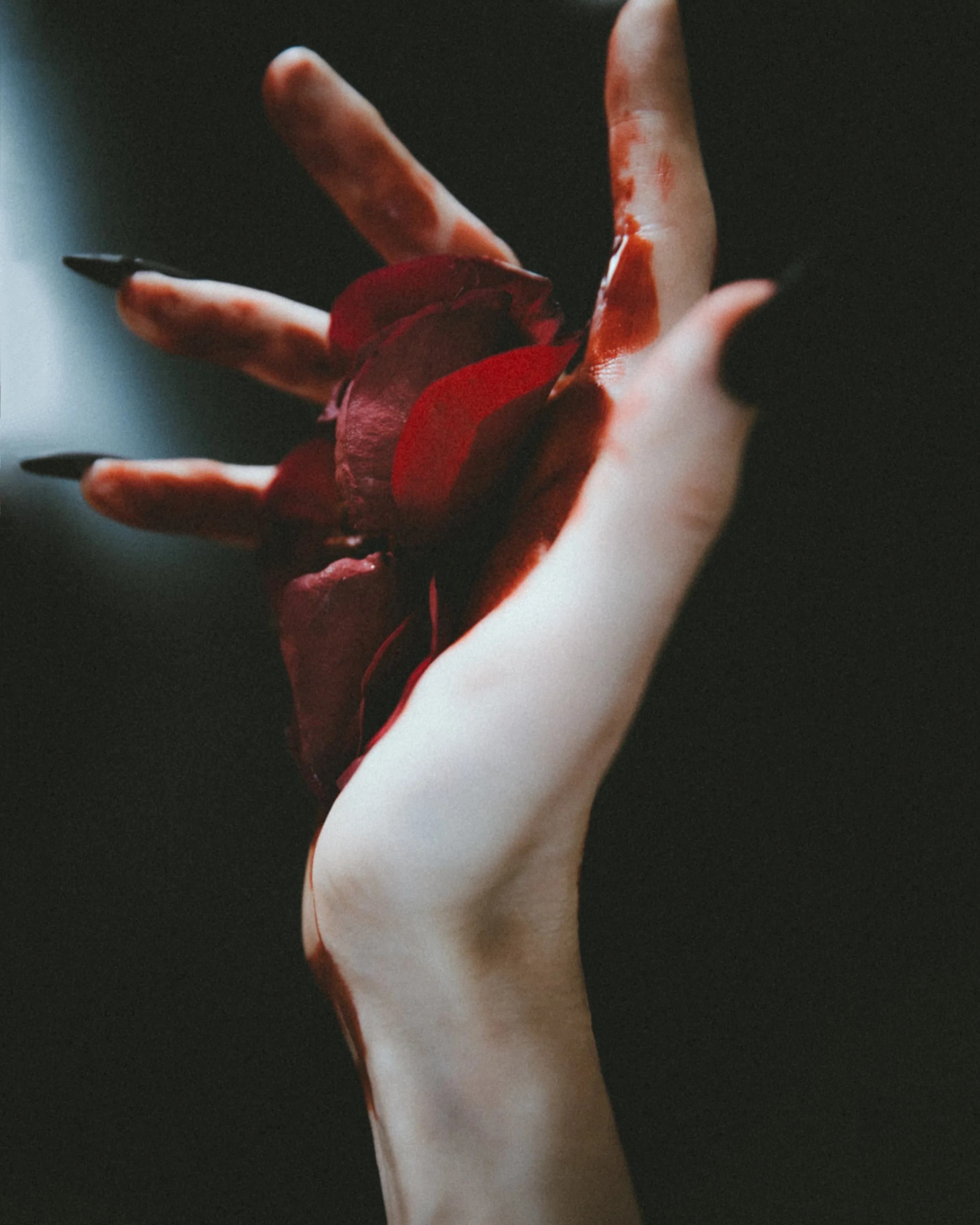 Cait Kelly, Photographer, NYC, Artist