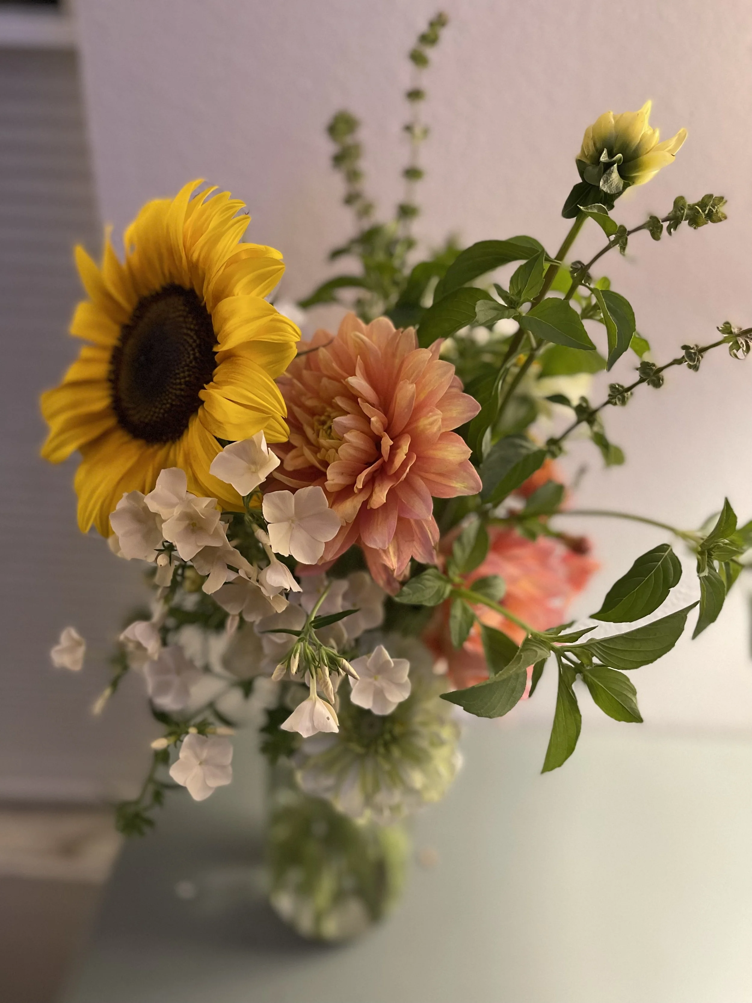 IMG_5227.jpeg