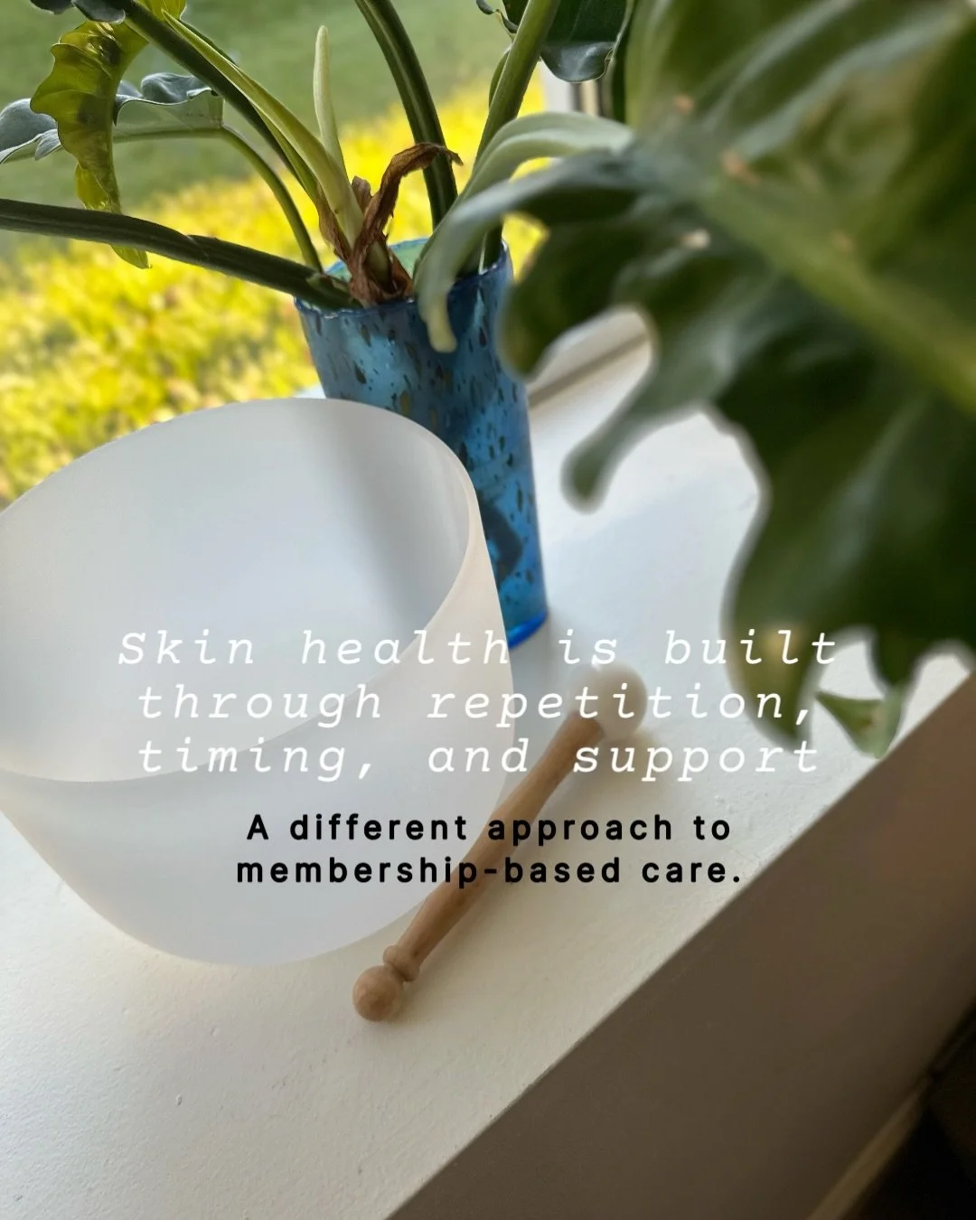 Skin health is built through repetition, timing, and support. 
That&rsquo;s exactly what Curam&rsquo;s memberships are designed to provide.

Two membership tiers, each structured around what your skin needs and the level of commitment you&rsquo;re re