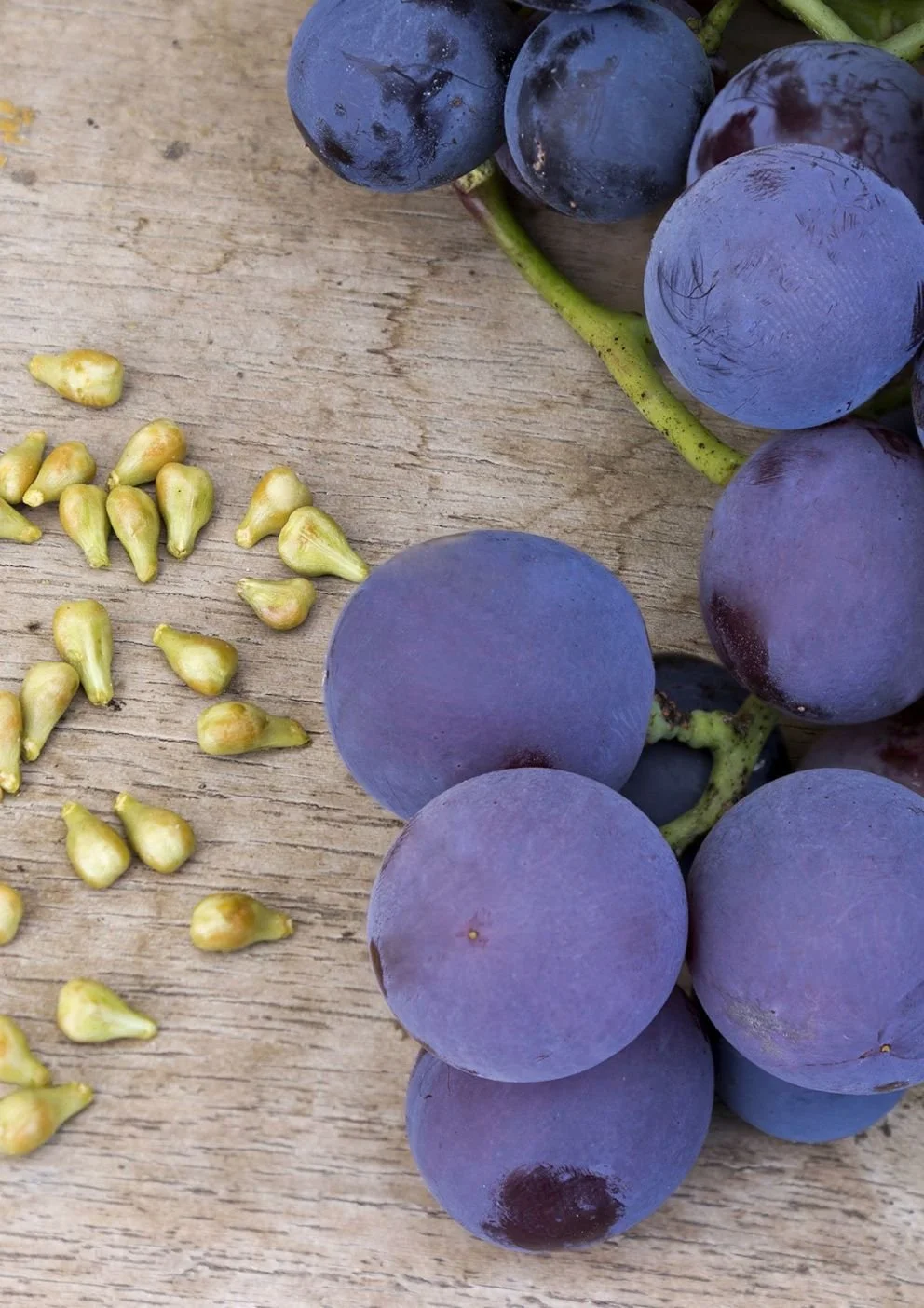 Normal/Combination Skin Kit