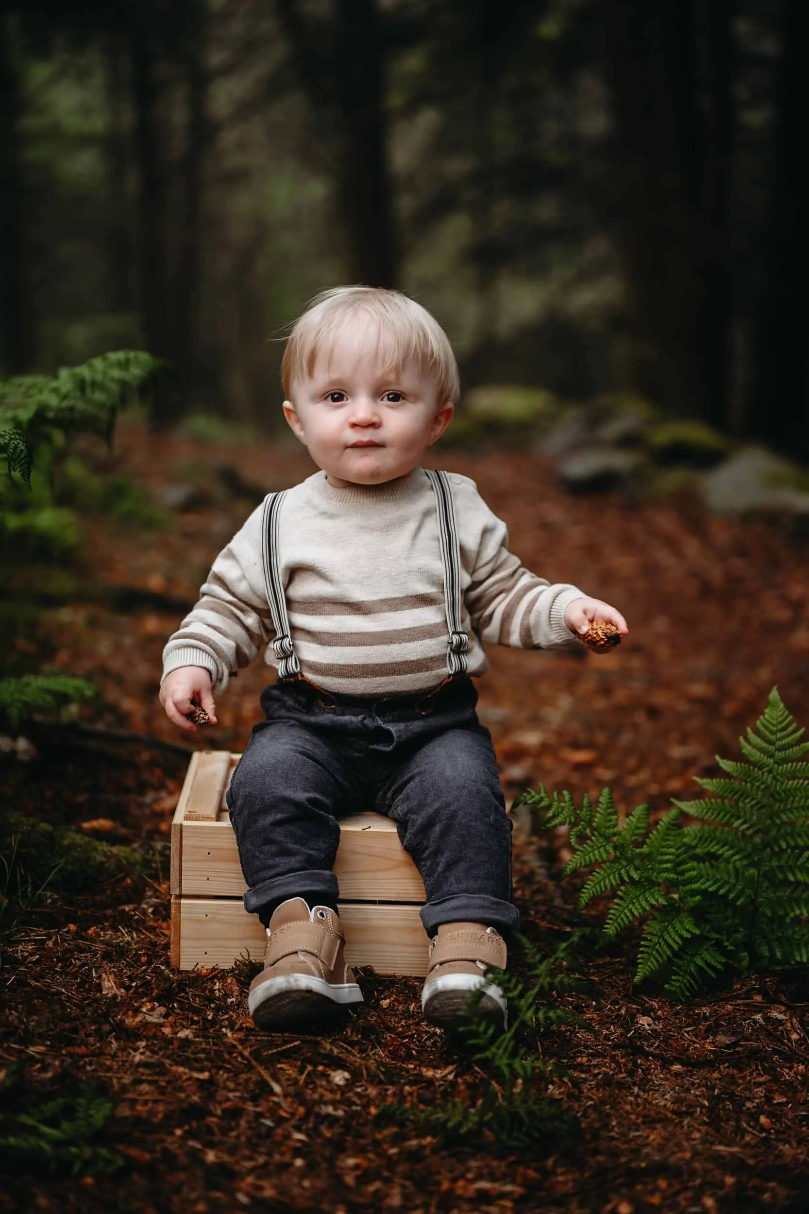 familiefotograf i stavanger