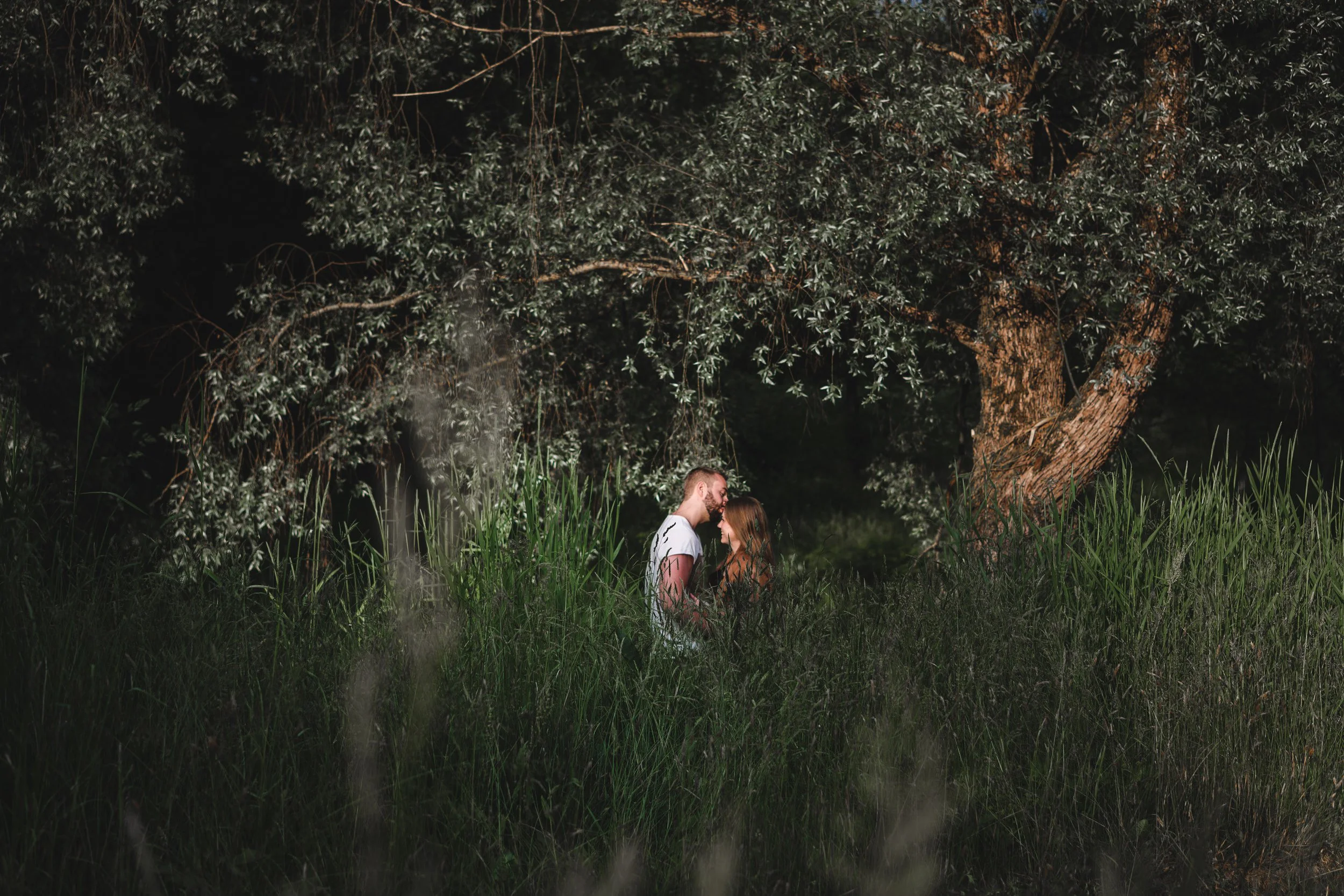 Et par står i en grønn, grasiøs skog, omfavnet og ser på hverandre i kjærlighet under en stor, gammel tre med mørkegrønne blader.