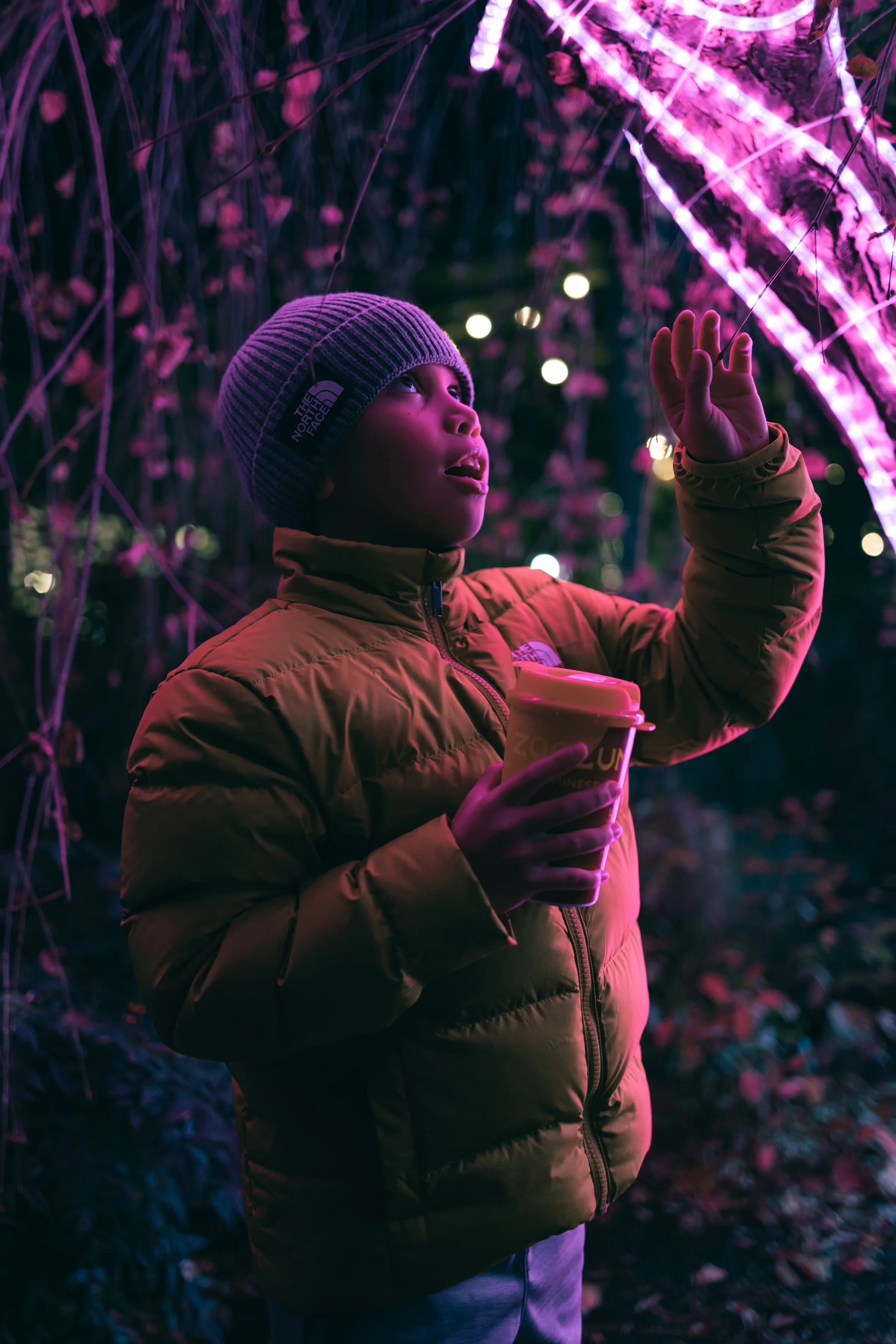 Zoo-9.jpg