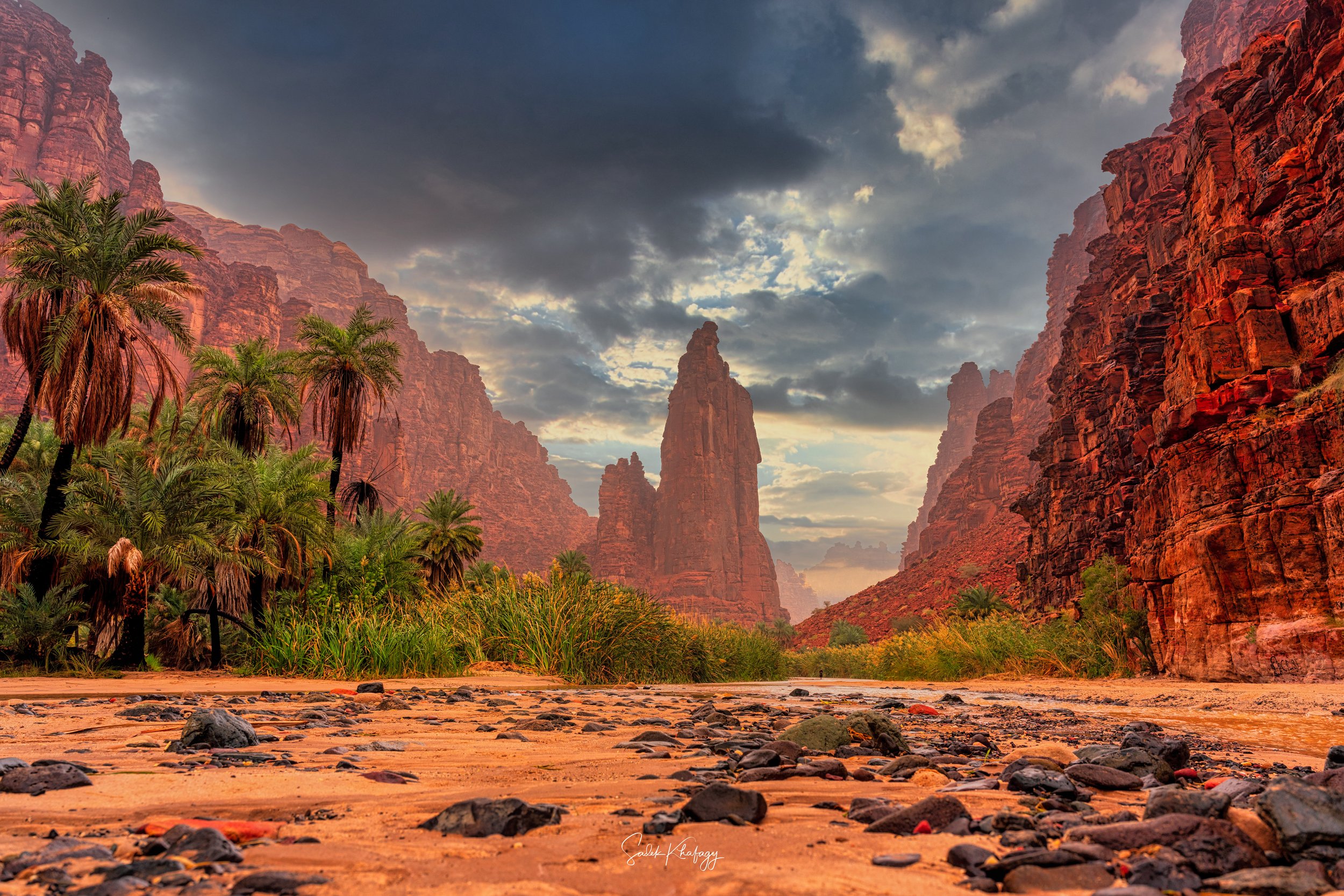 DSC_1489-Edit.jpg